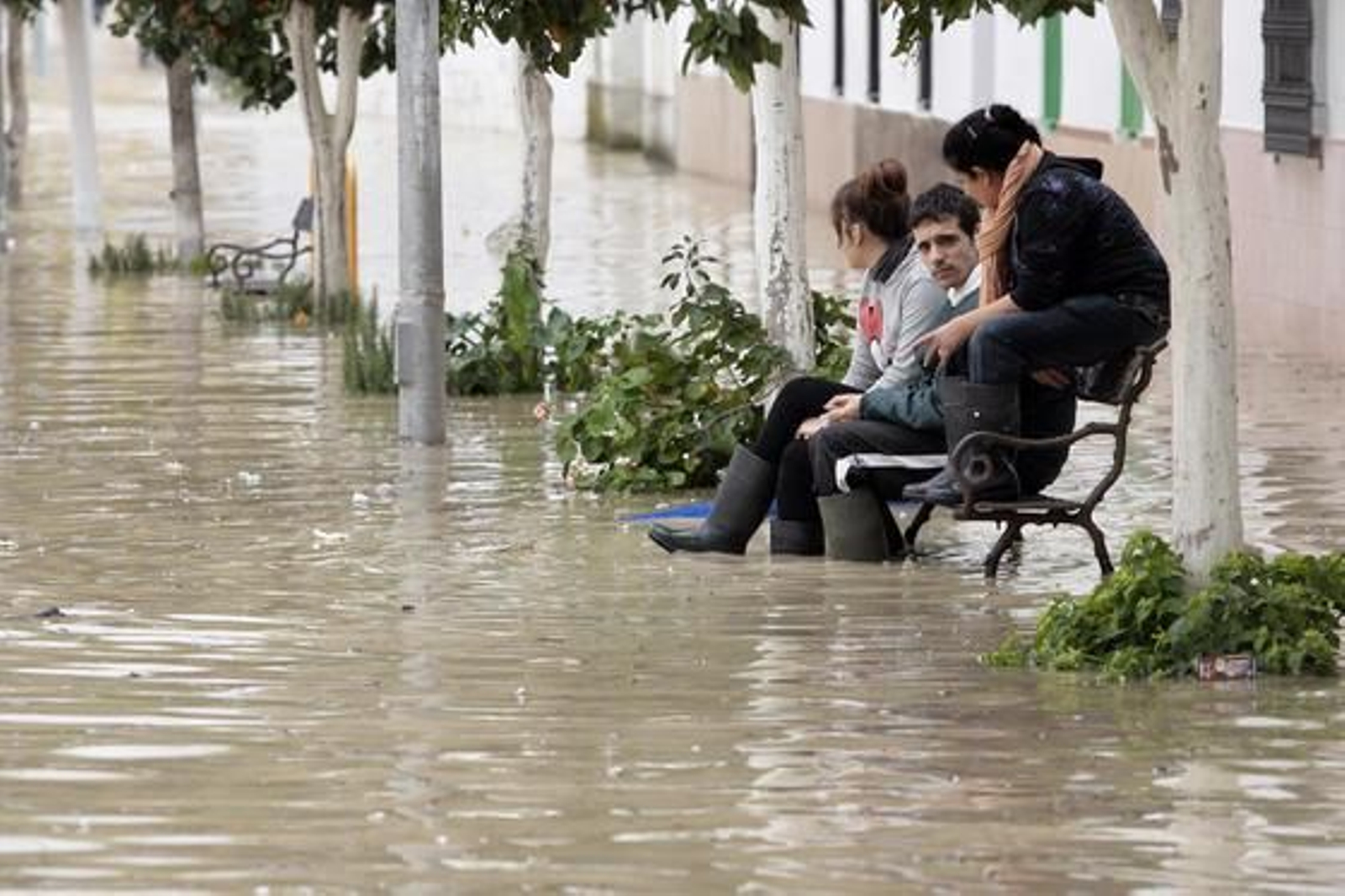 El Río Guadalquivir se desborda a su paso por Lora del Río./ J.C Muñoz