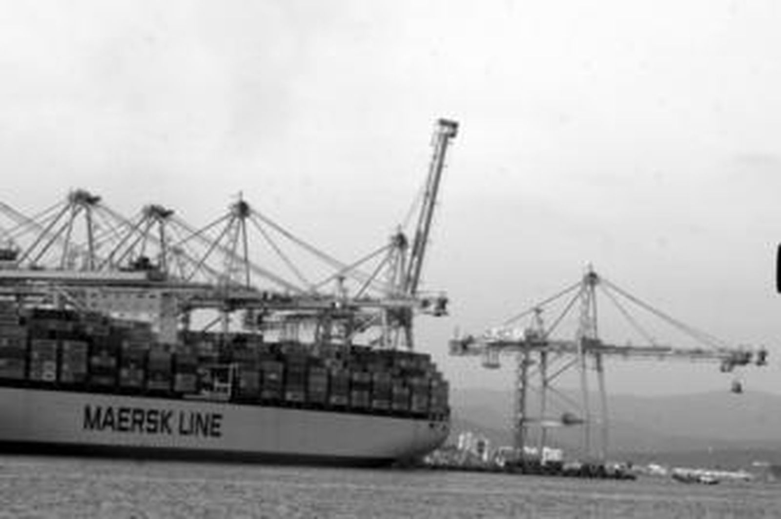 Las nuevas grúas de Maersk en el muelle Juan Carlos I.