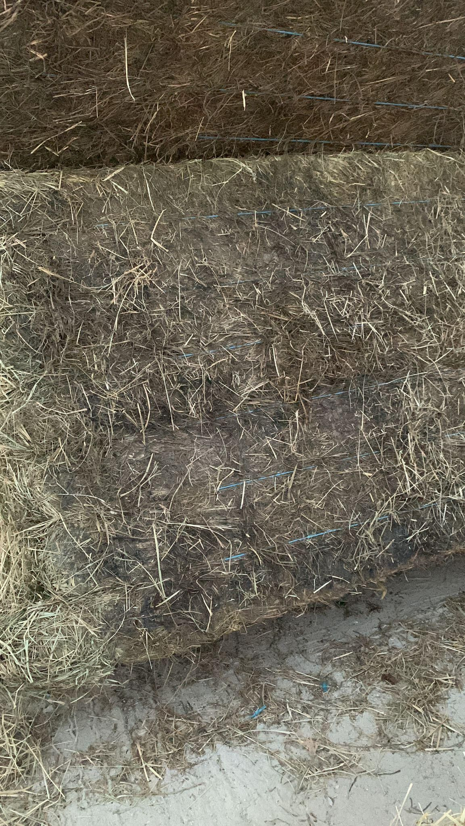 Una imagen del heno.