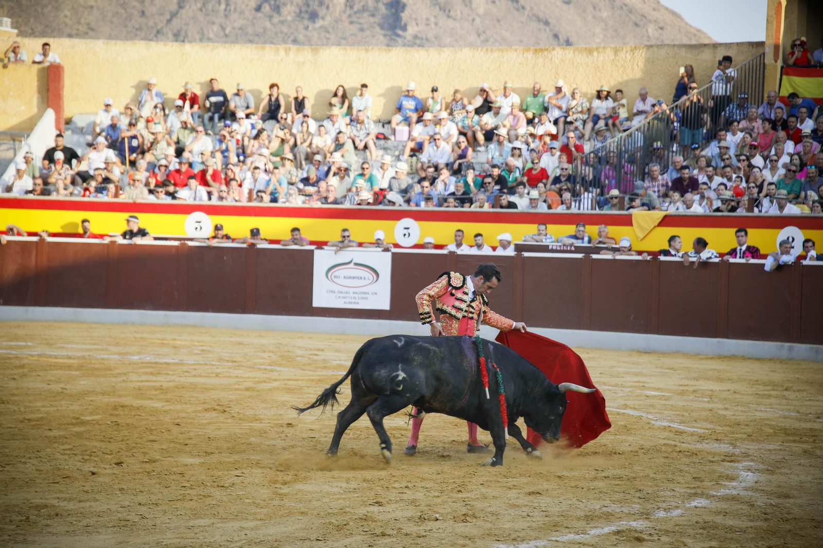 Corrida de toros Berja con un toro indultado, en imágenes