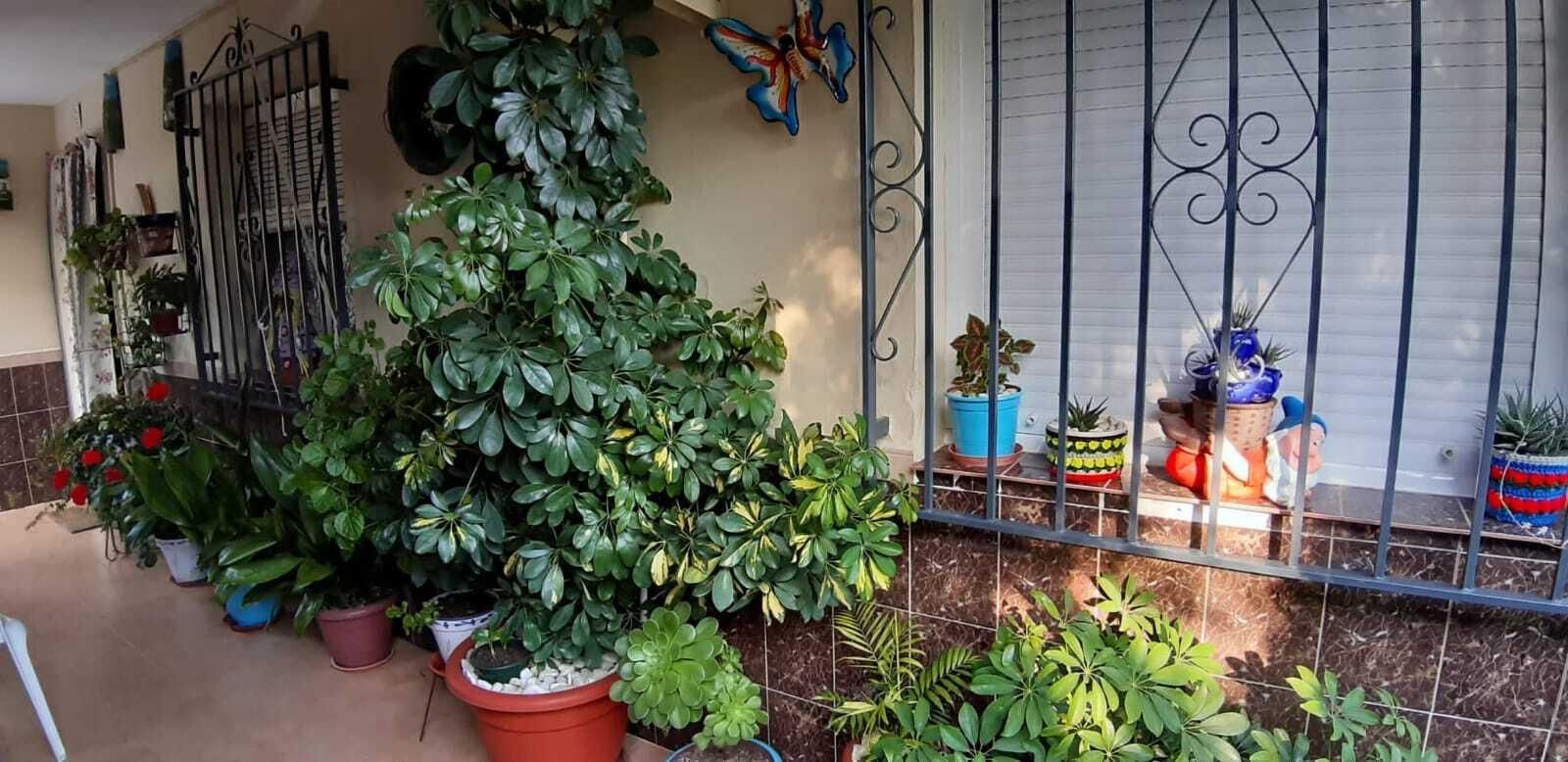 Fotografías de cómo lucen los patios, balcones y rejas de Iznájar.