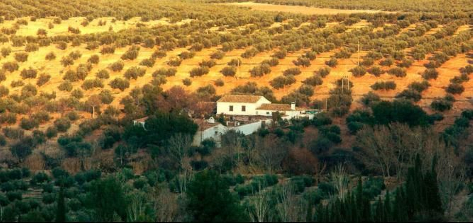 Vista aérea de la Casería de Jesús en Jaén. Vista aérea de la Casería de Jesús en Jaén.