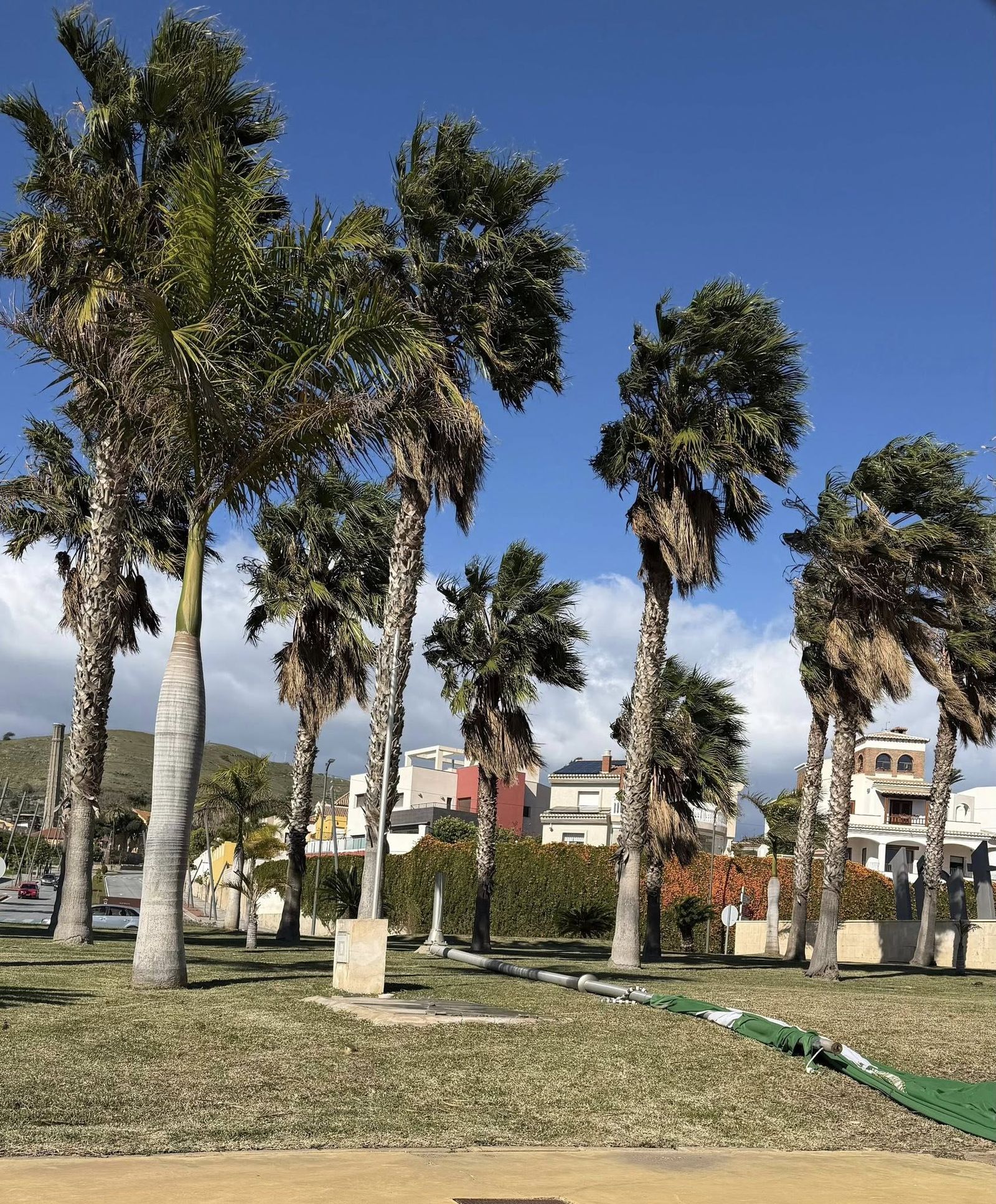 El mástil de la bandera de Andalucía en la rotonda de la Avenida de Europa se ha partido