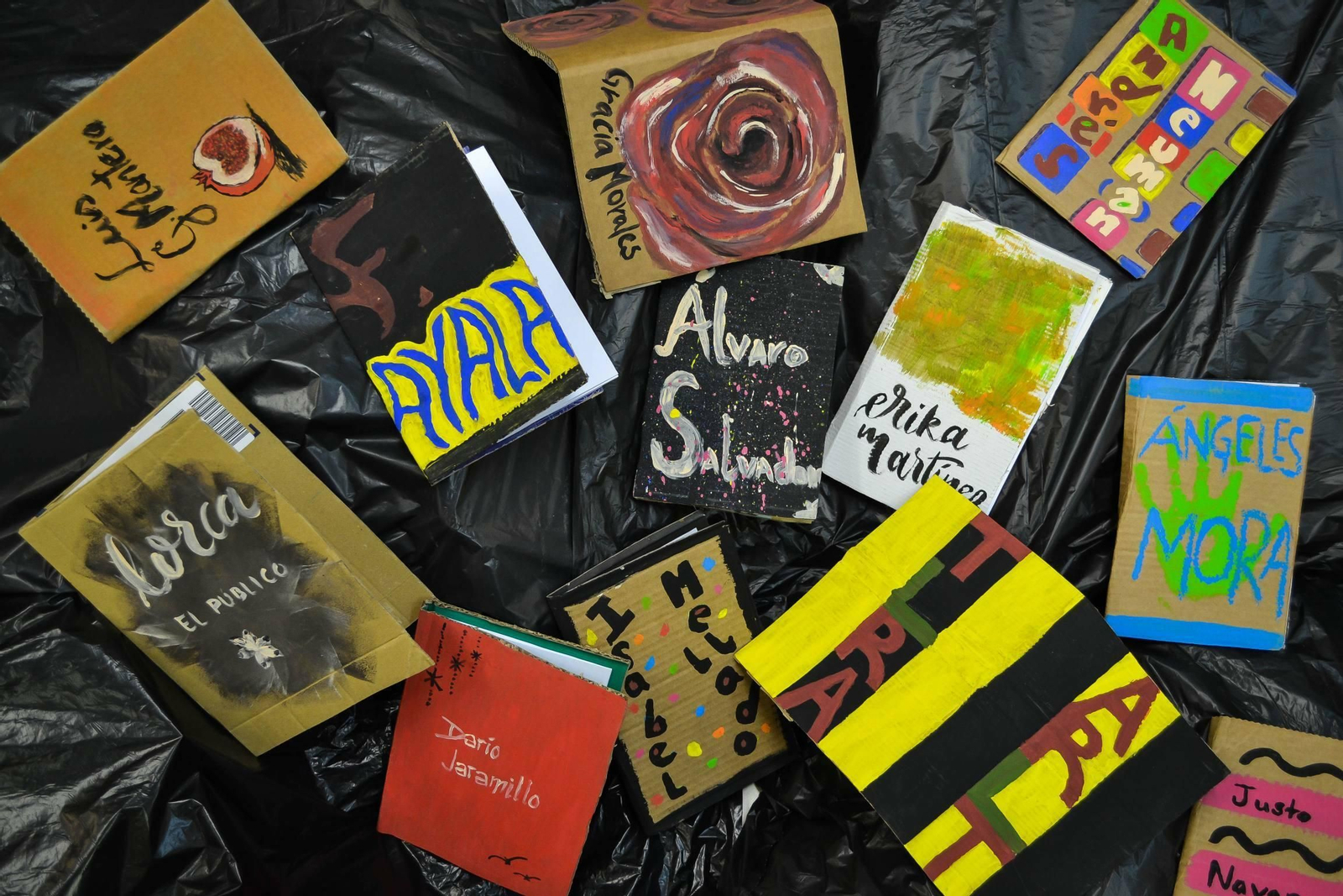 ‘UGR Cartoneras’ ha editado doce obras.