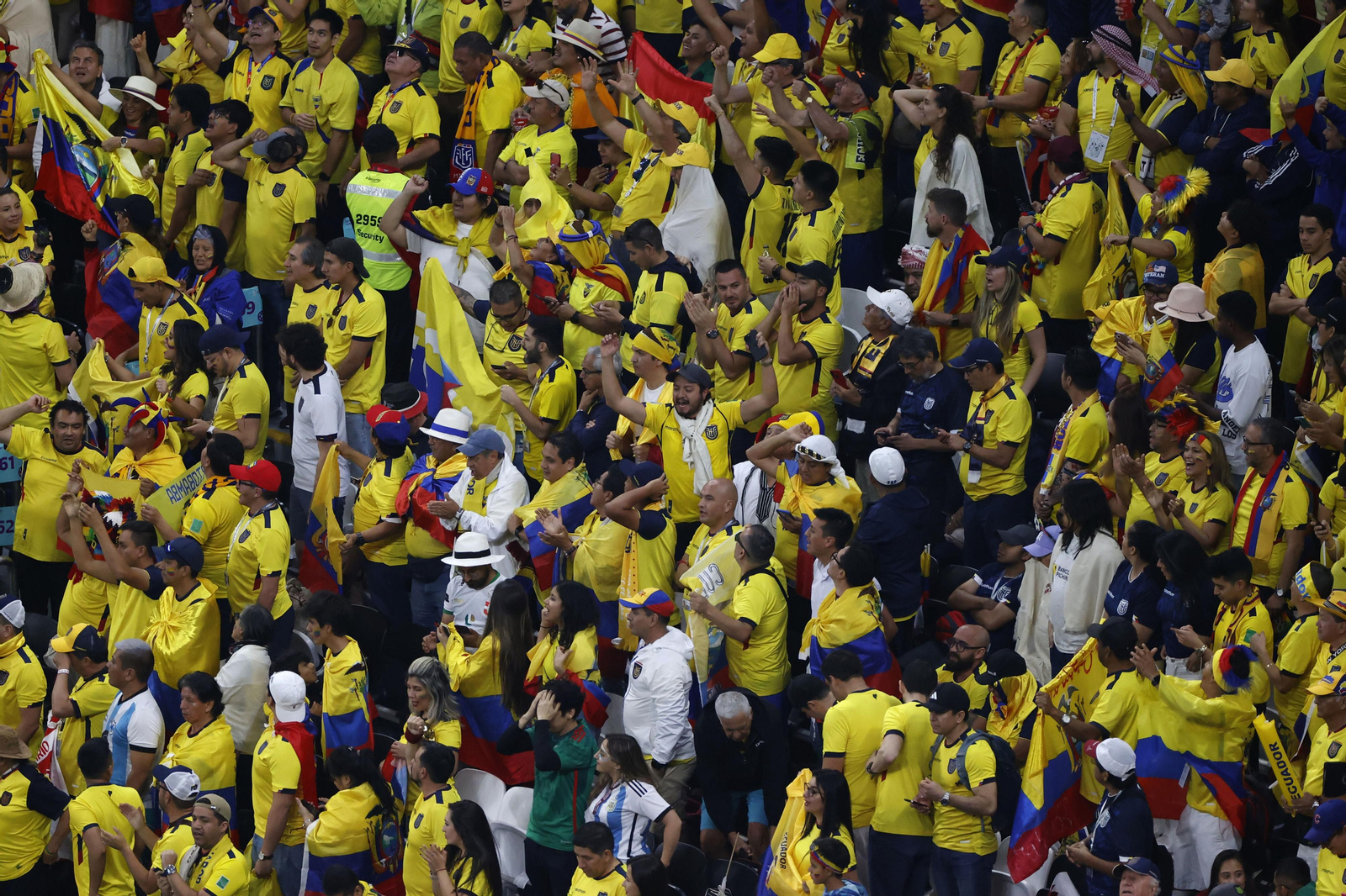 Las fotos de la ceremonia de inauguración del Mundial de Qatar 2022