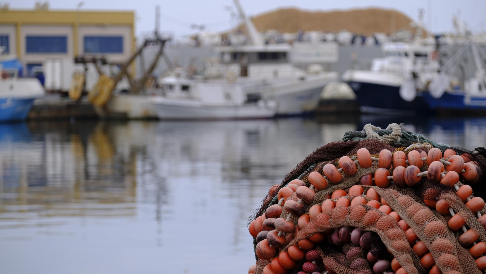 Fotogalería concentración protesta sector pesquero. Almería