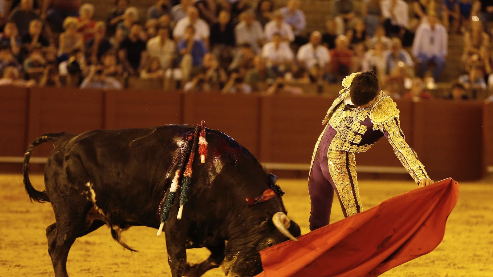 Manuel Diosleguarde da un bello muletazo al último de la tarde-noche.