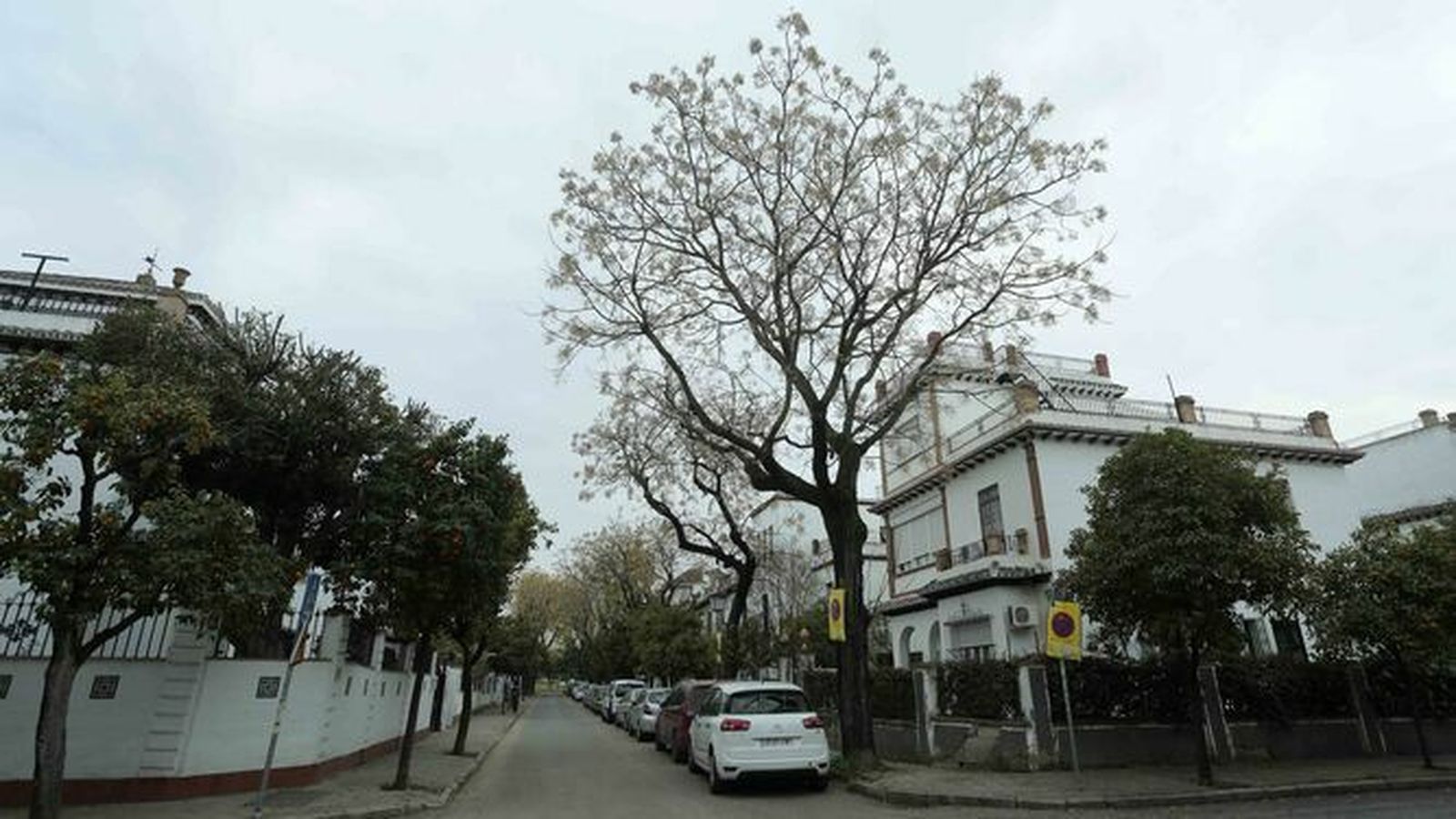 Calles colindantes al estado Benito Villamarín.