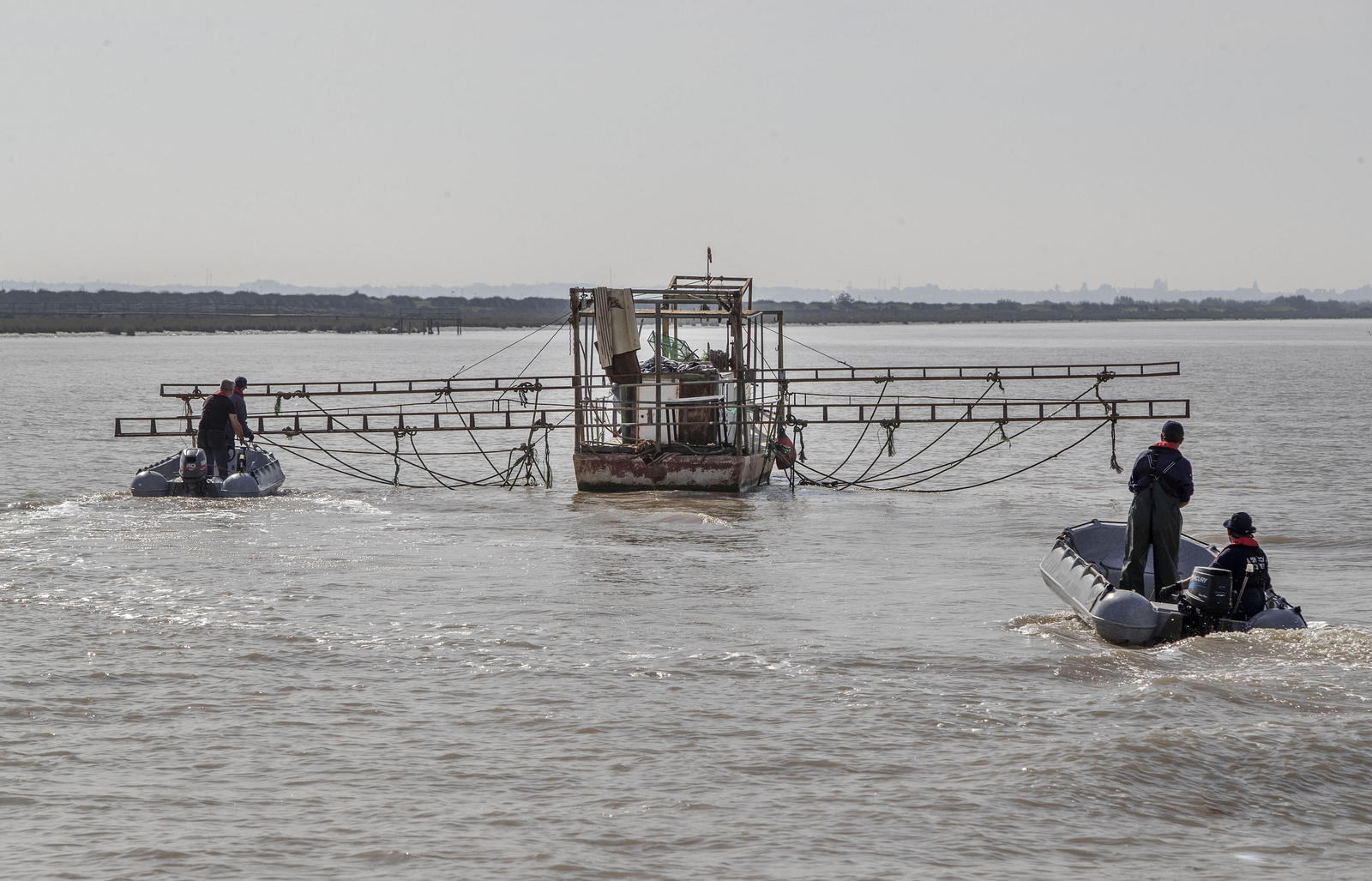 Operación Ave  fenix contra la pesca  de la angula