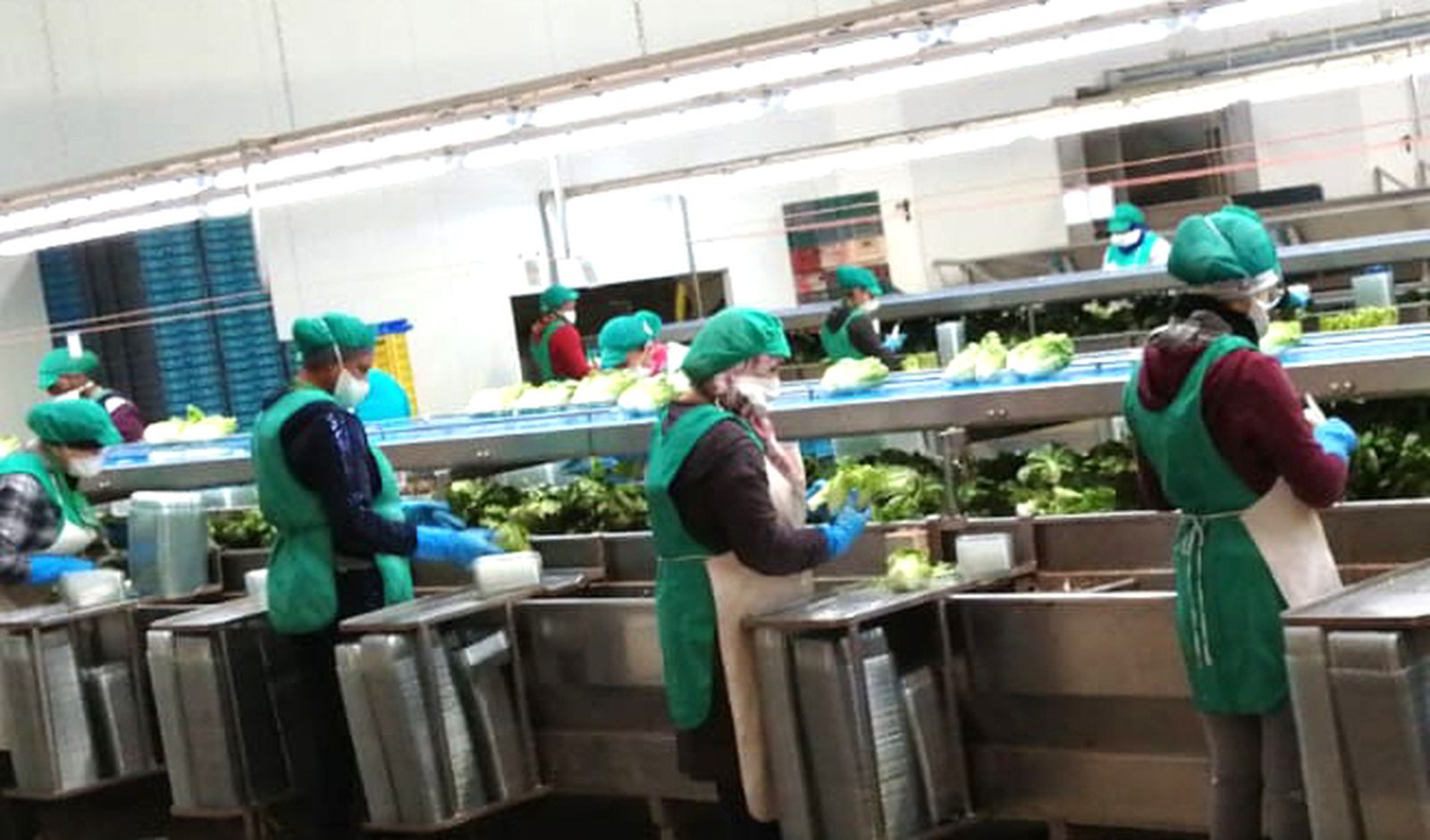 Los centros de trabajo llegan a aglutinar a más de 500 trabajadores por turno.