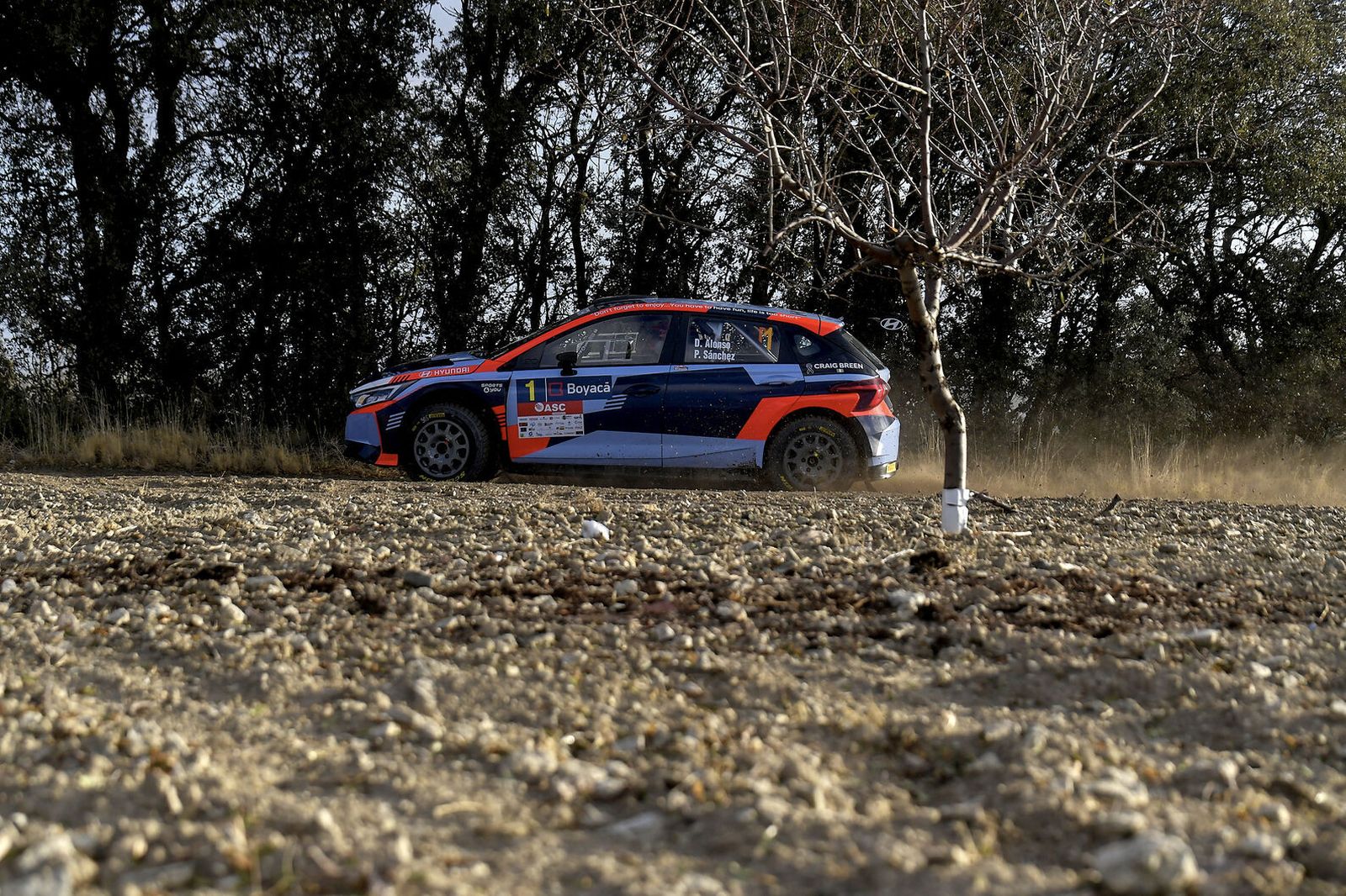 Las mejores imágenes de la jornada final del Rally Ciudad de Granada