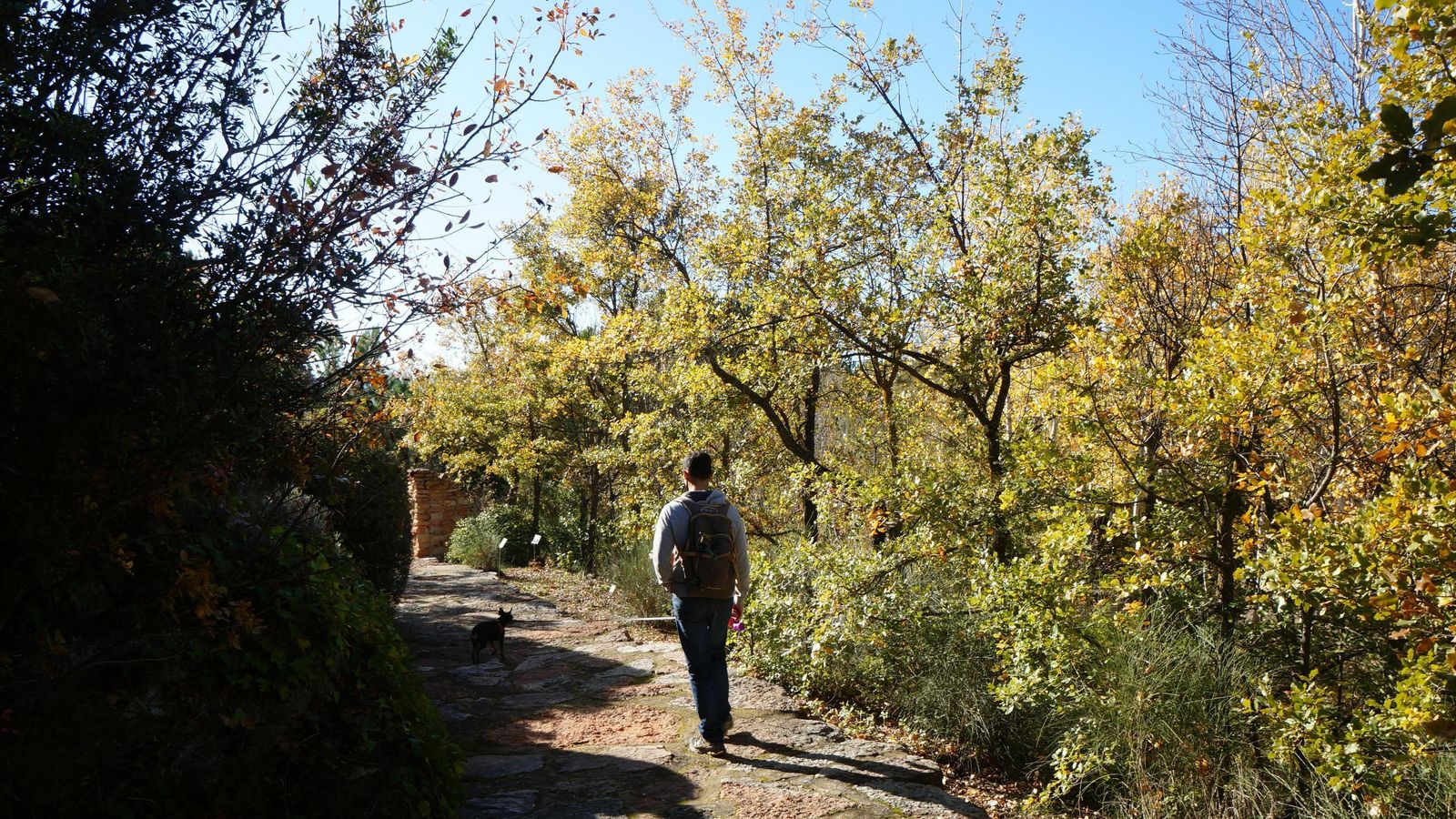 Un sendero del jardín micológico La Trufa.