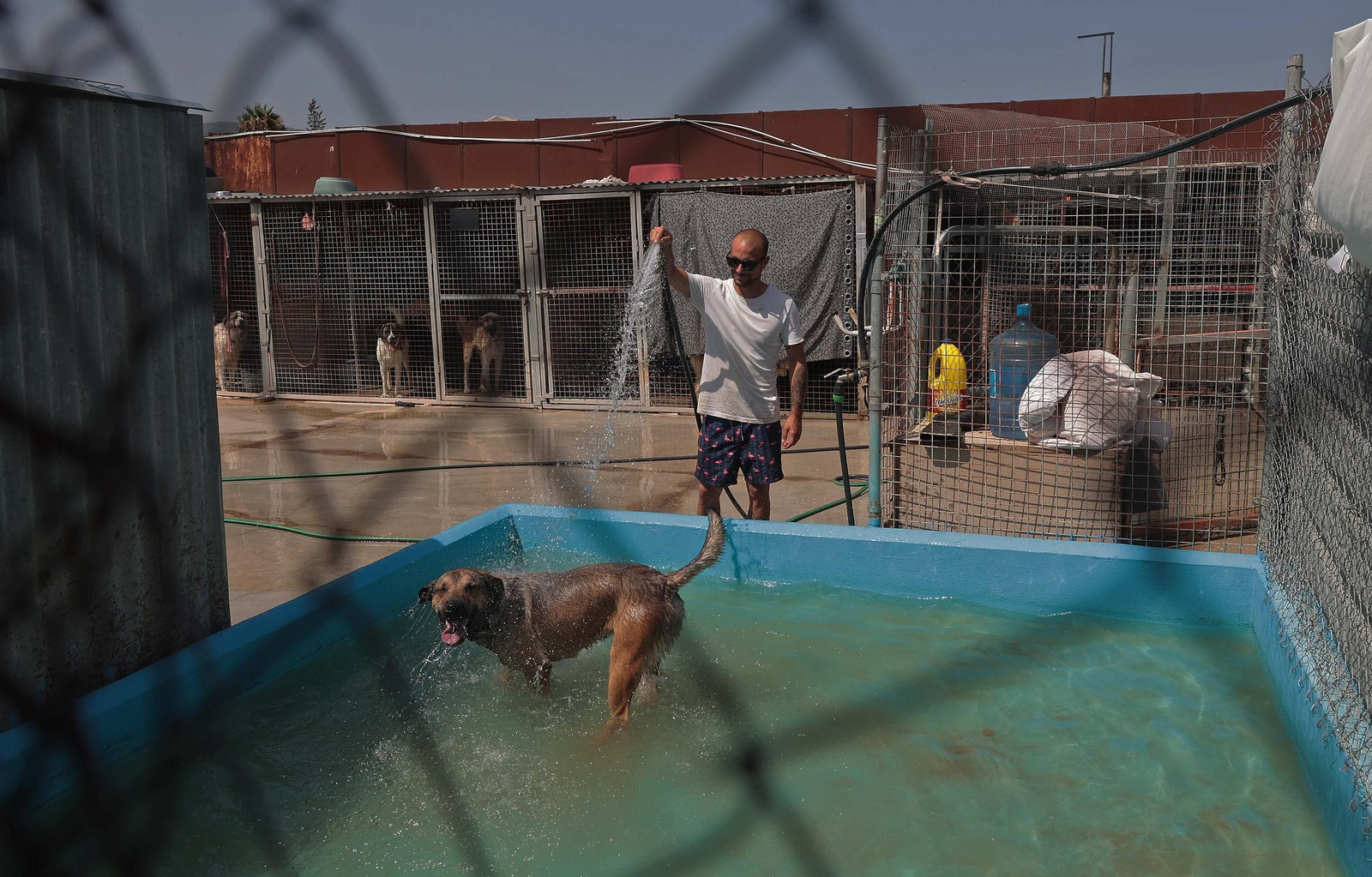 Imágenes de la protectora de animales del Campo de Gibraltar en Los Barrios