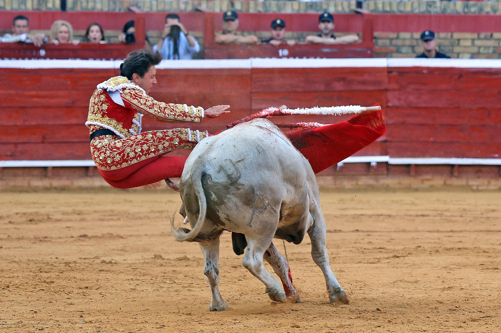 Toros La Merced: Imágenes de la corrida de David de Miranda, Roca Rey y Manzanare