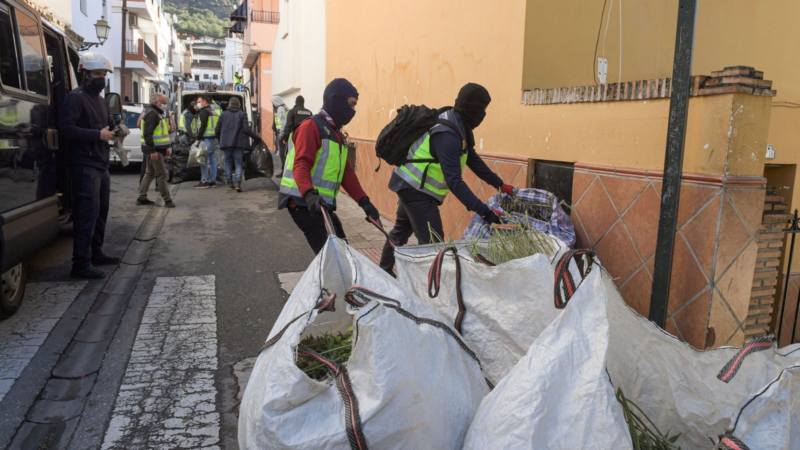 Policías cargando con las plantas que habían sido encontradas en un domicilio.