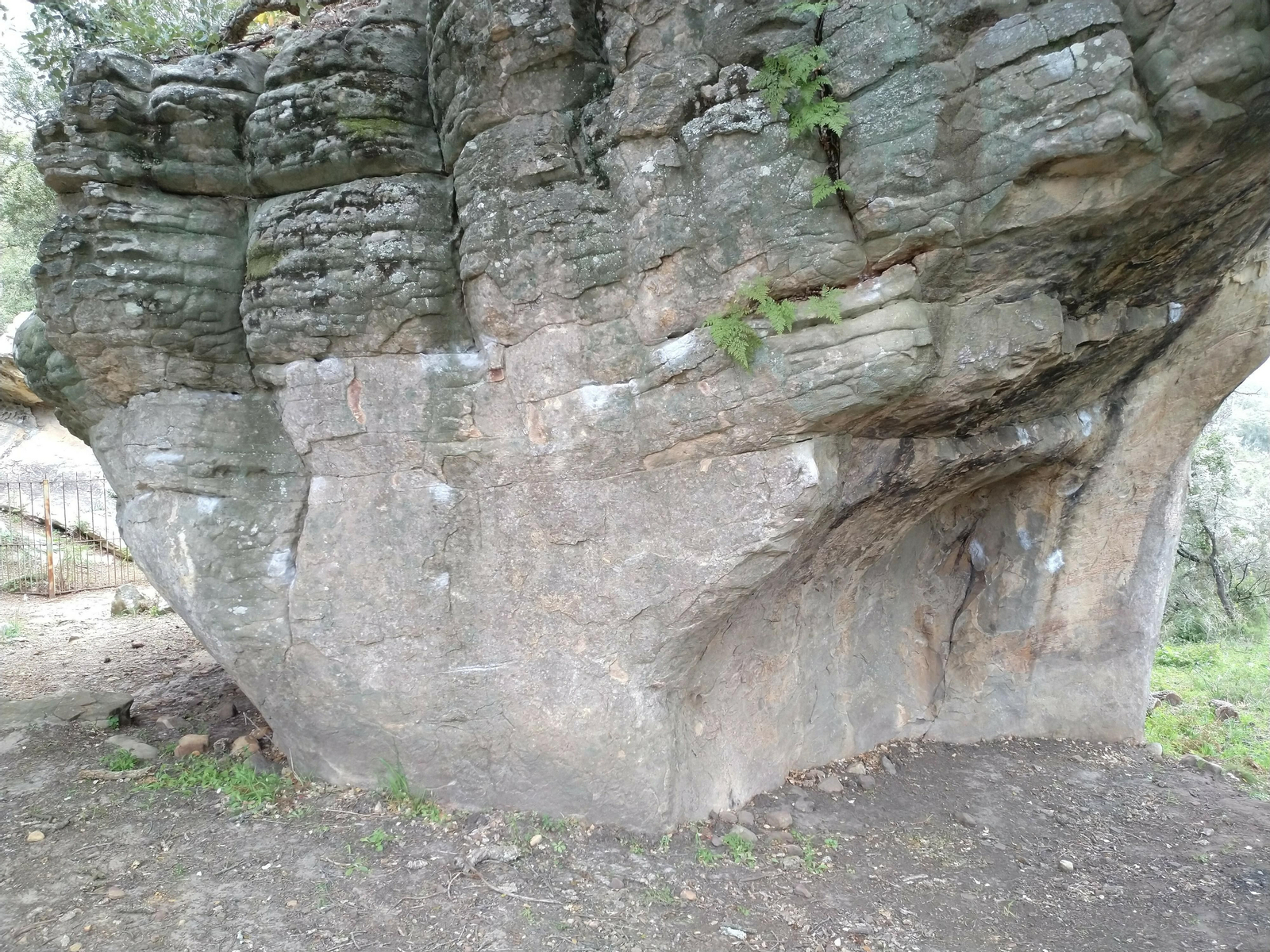 Los daños por vandalismo en Bacinete, en imágenes