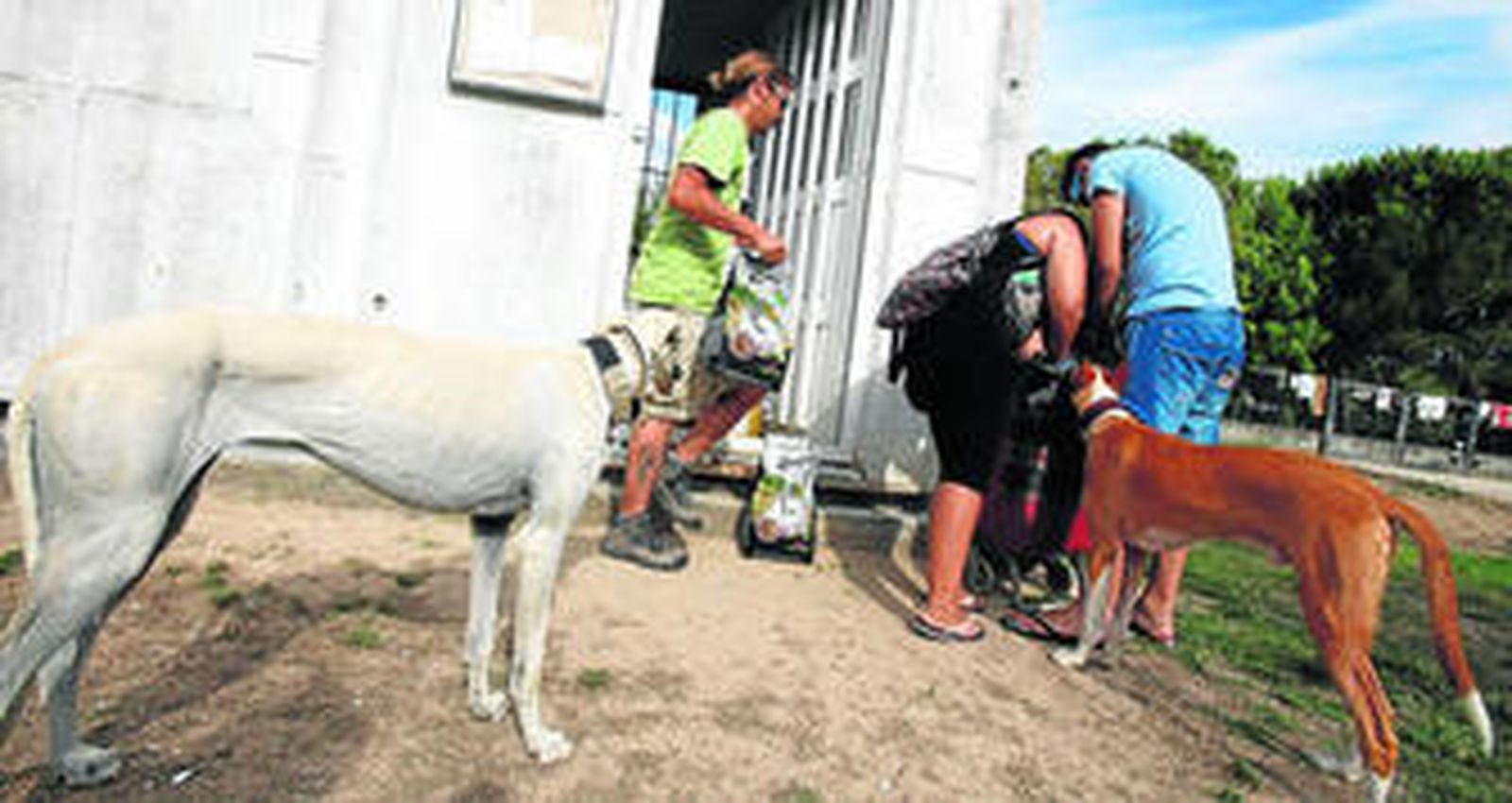 1. Una familia recoge el pienso en el banco de alimentos de los Ángeles de Lora, ubicado en el módulo habilitado en la zona de perros sueltos del parque del Alamillo. 2. Javier Jurado con dos de los perros en adopción, Lugo (ciego) y Mulán.