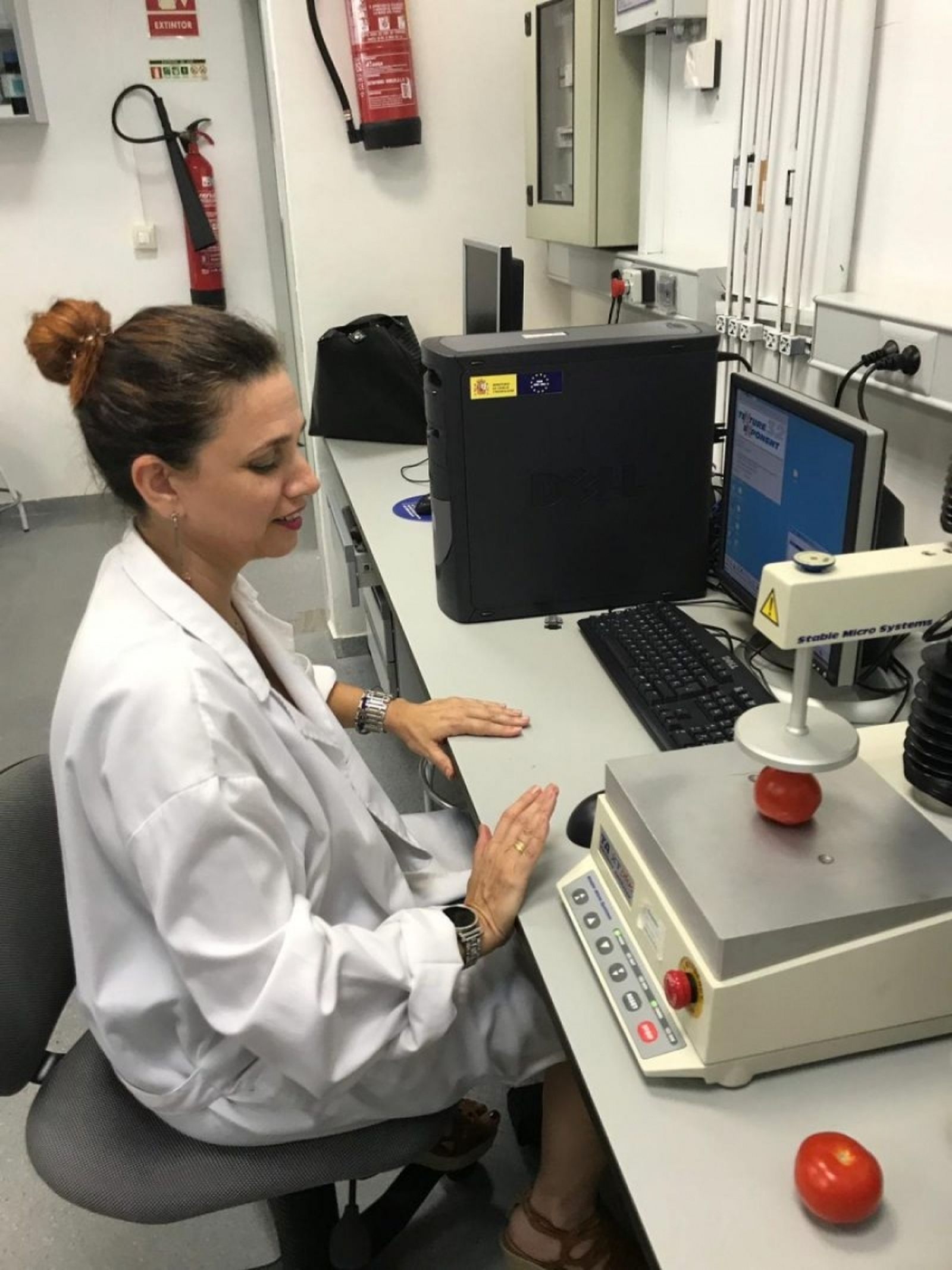 La investigadora de la Universidad de Almería Nuria Novas, autora del artículo donde explica este nuevo avance.