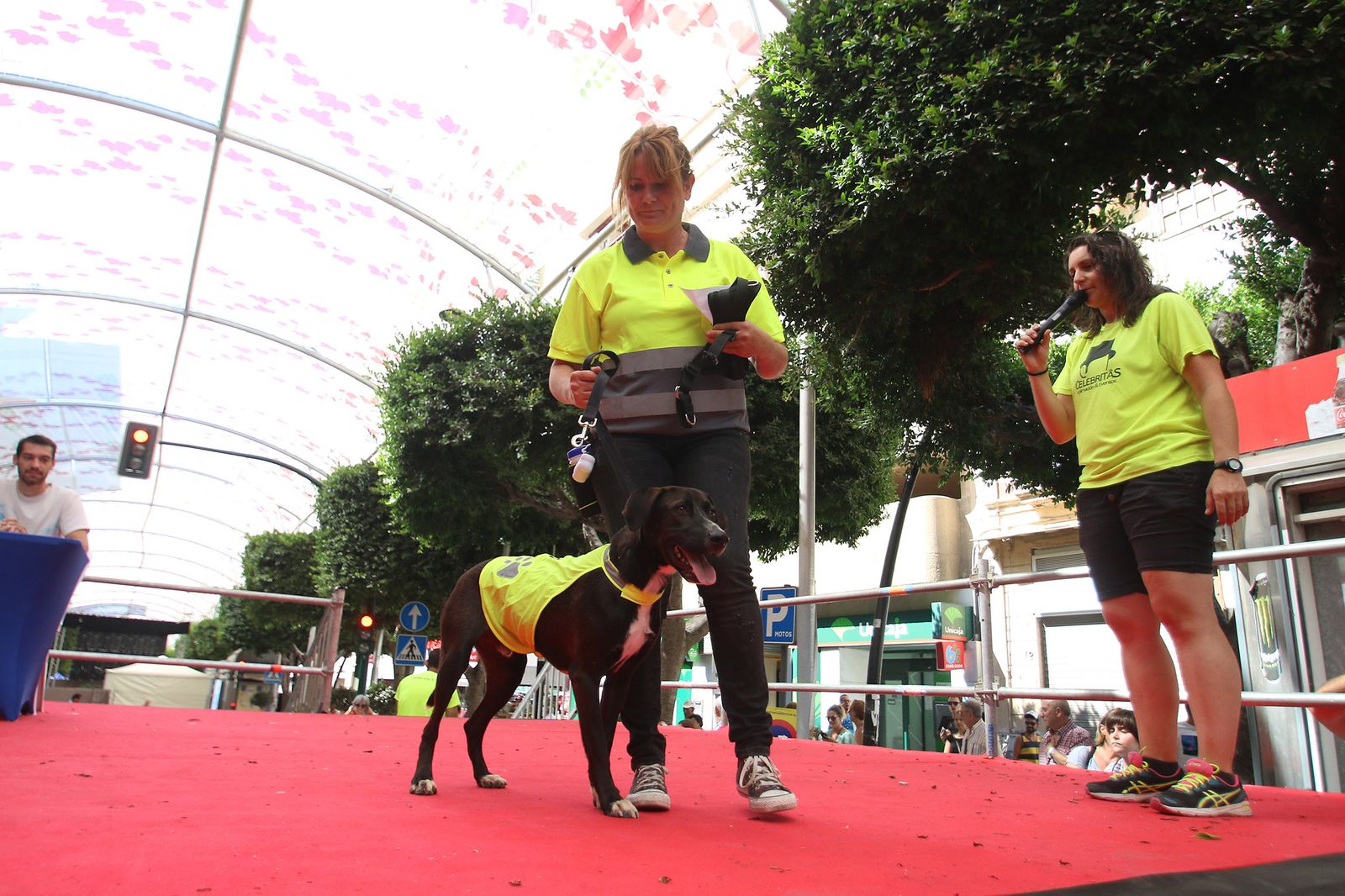 Fotogalería del concurso canino. Feria de Almería 2019
