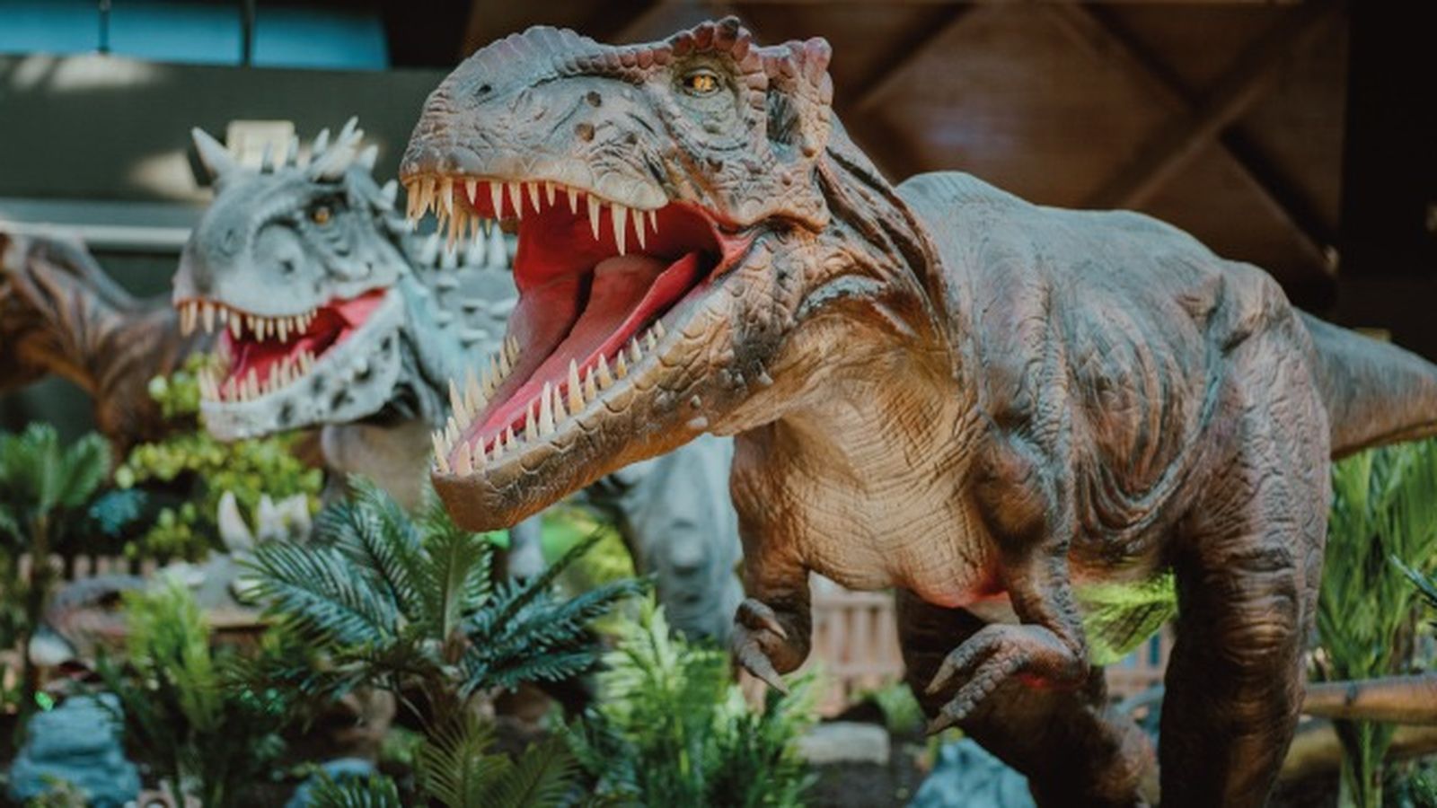 Algunos de los dinasaurios en exposición.