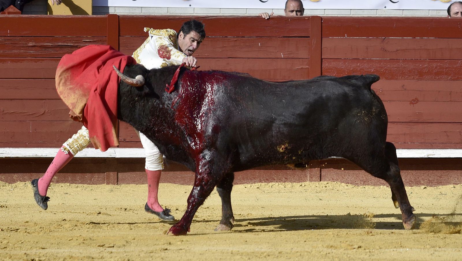 Las imágenes de la corrida en Morón con la reaparición de Jesulín de Ubrique