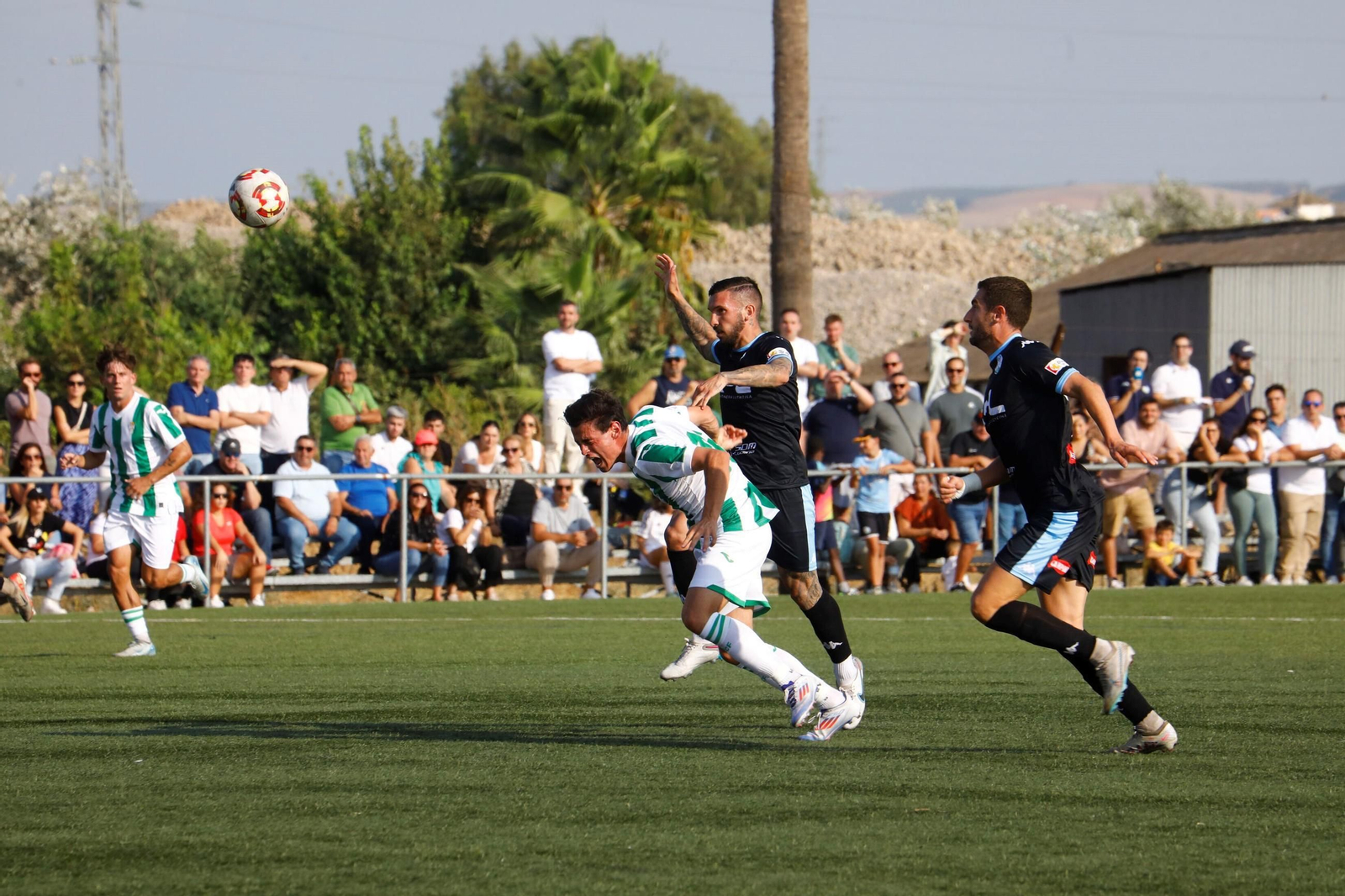 Las mejores fotos del derbi entre el Córdoba B y el Ciudad de Lucena en la Ciudad Deportiva