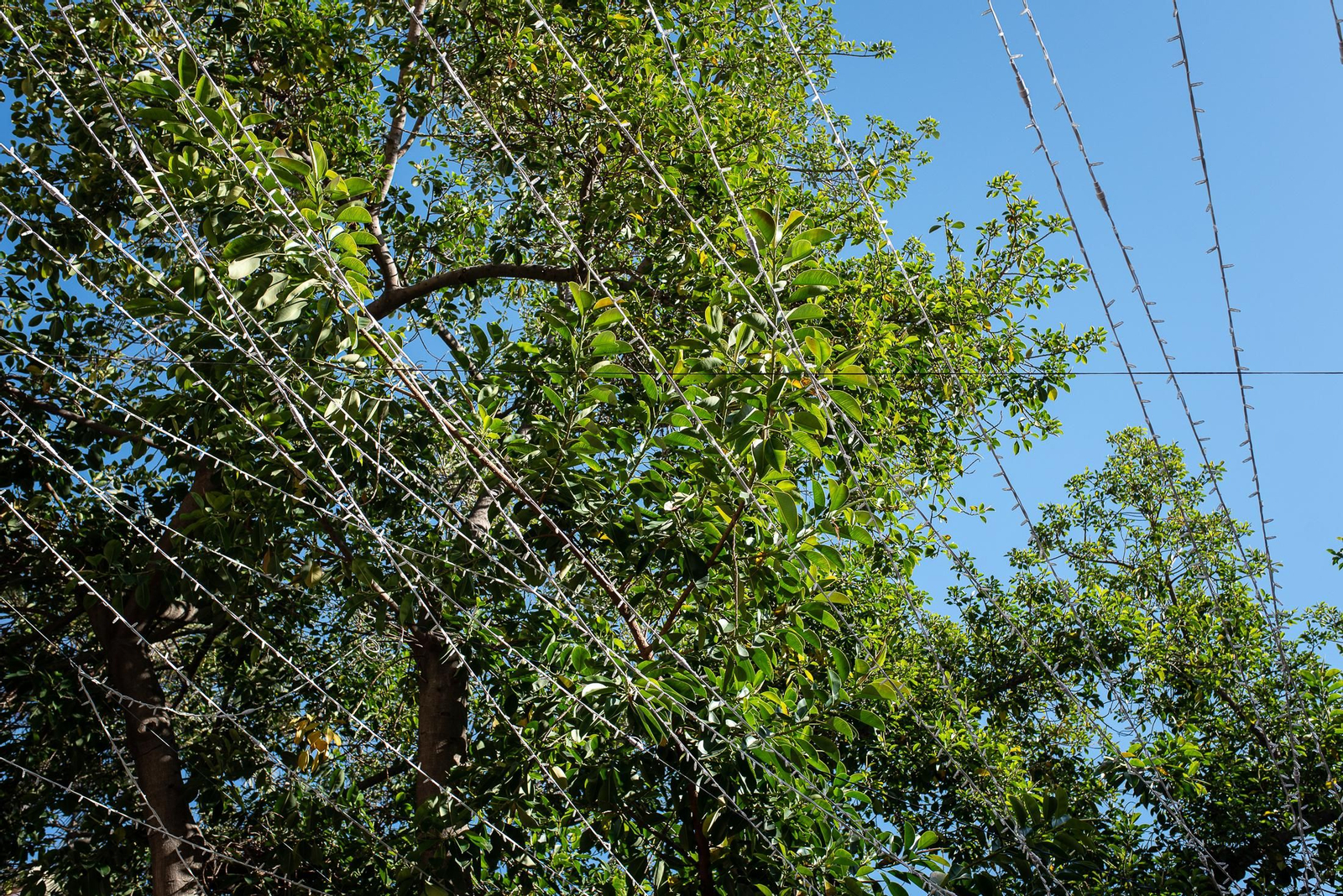 Huelva barrio a barrio: Imágenes de la Plaza Niña