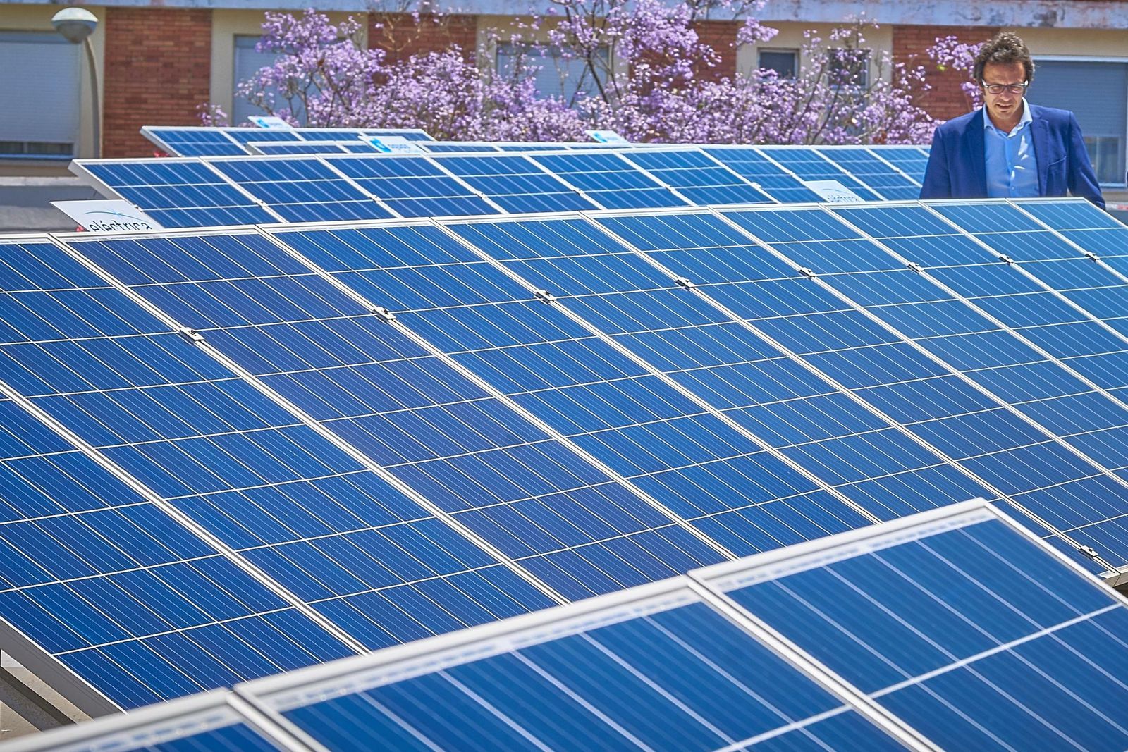 José María González, en la planta fotovoltaica de Eléctrica de Cádiz.