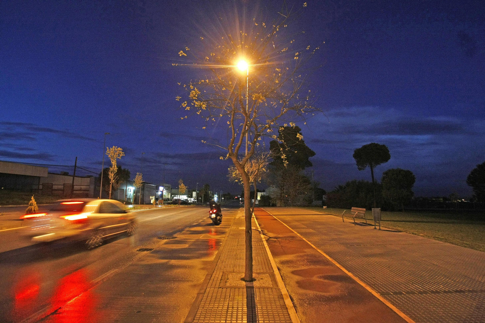 Imagen nocturna de la avenida Tío Pepe.