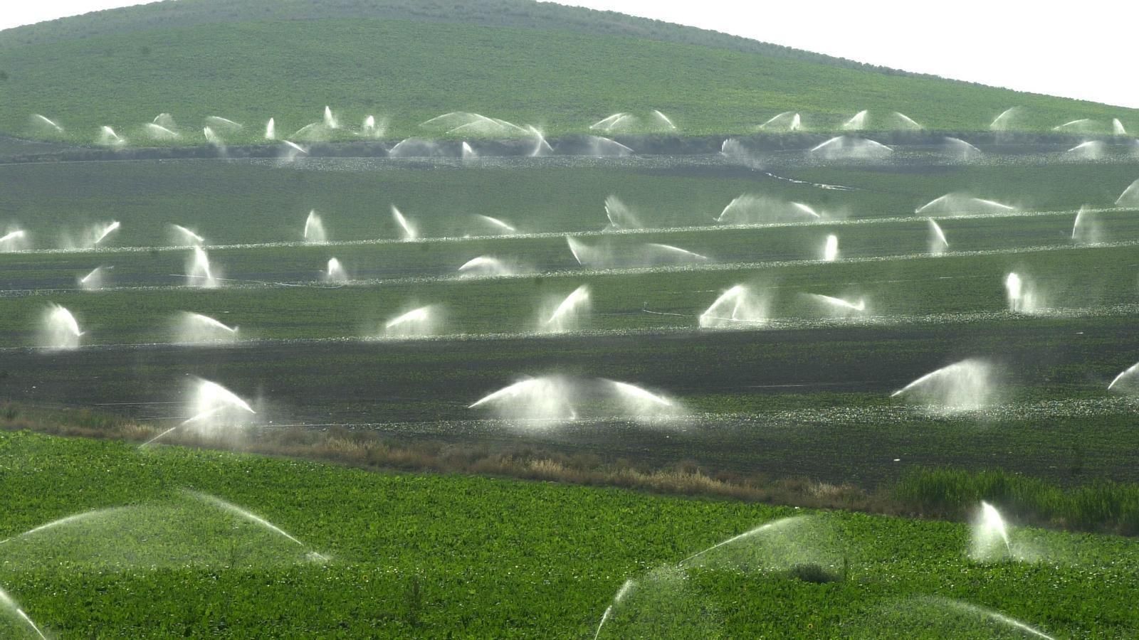 Sistema de regadíos de un campo. Sistema de regadíos de un campo.