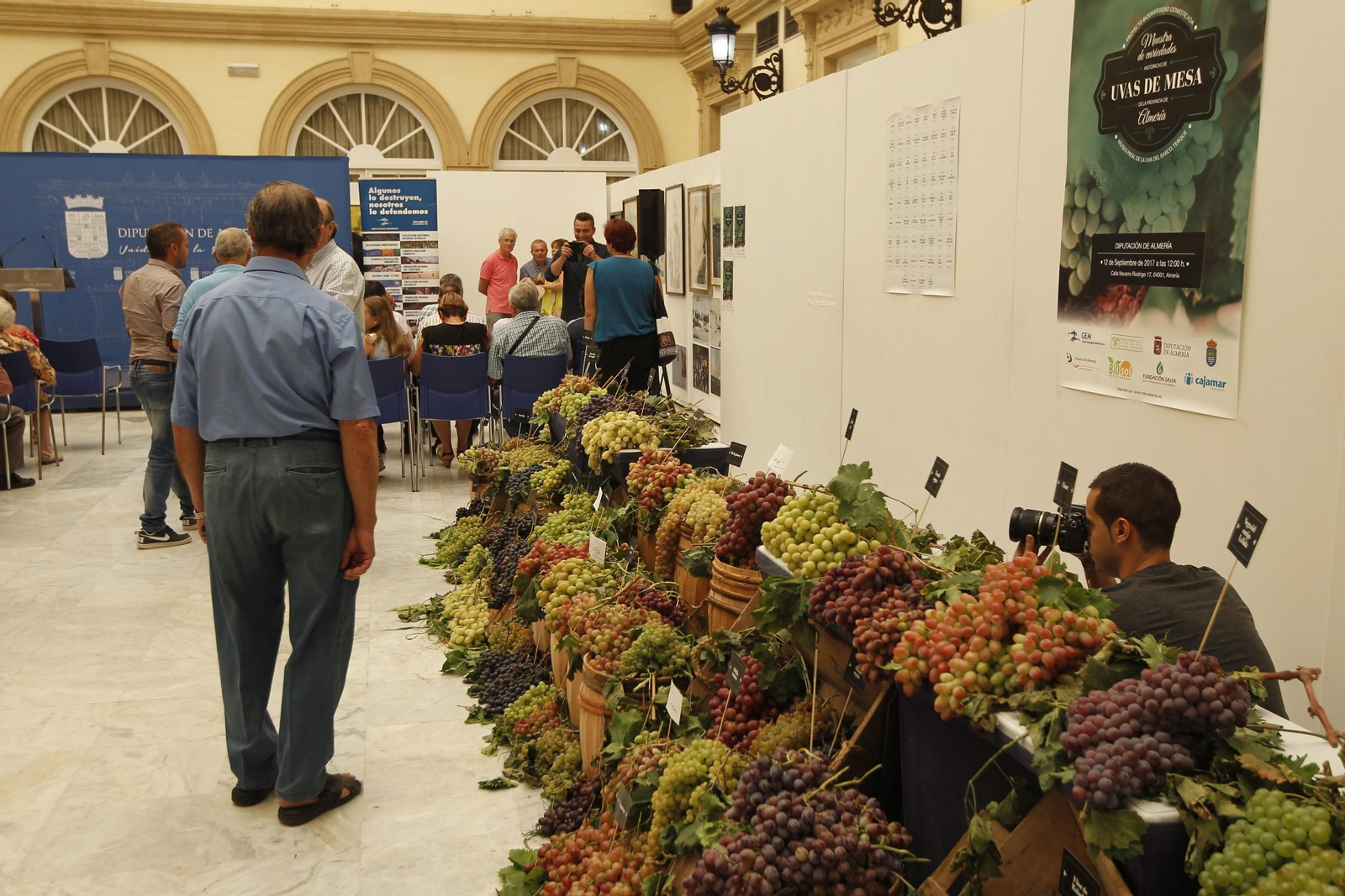 Las imágenes de la XIII Muestra de Variedades Históricas de Uvas de Mesa de la Provincia