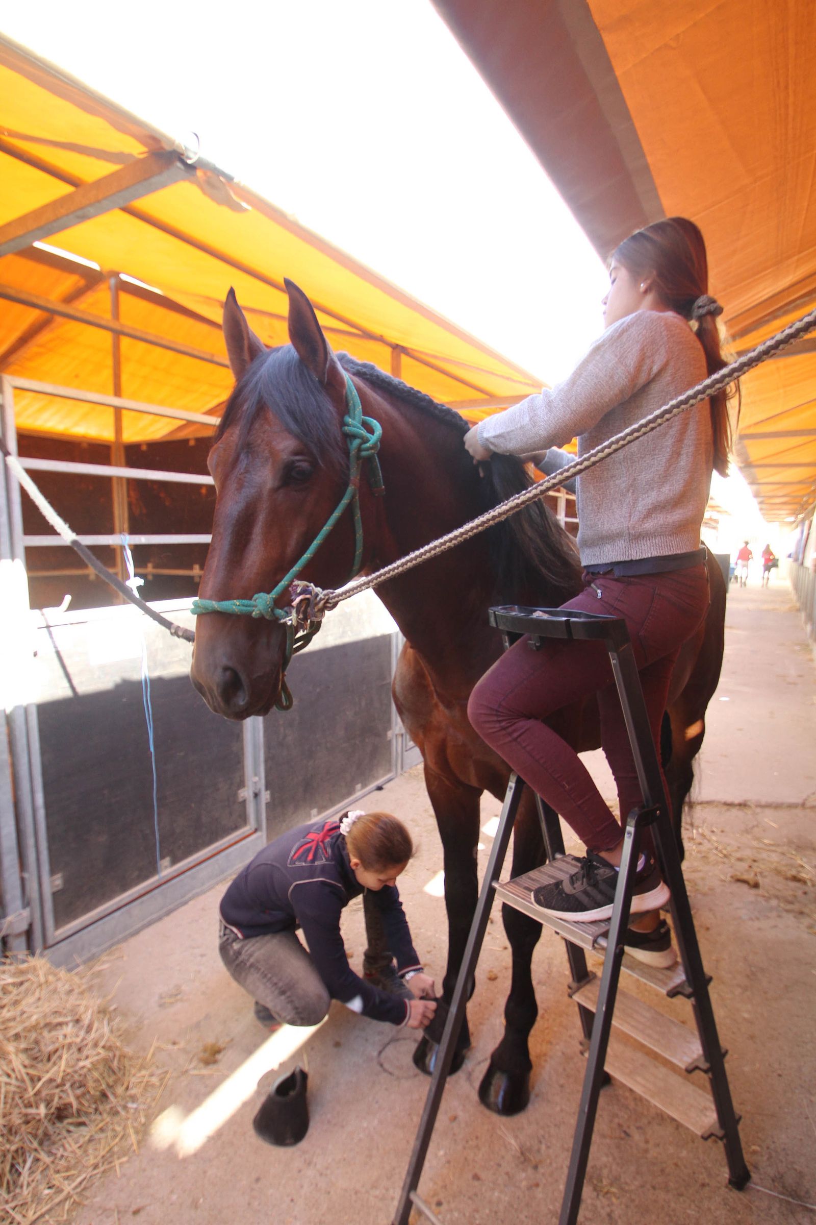 Sicab calienta motores.