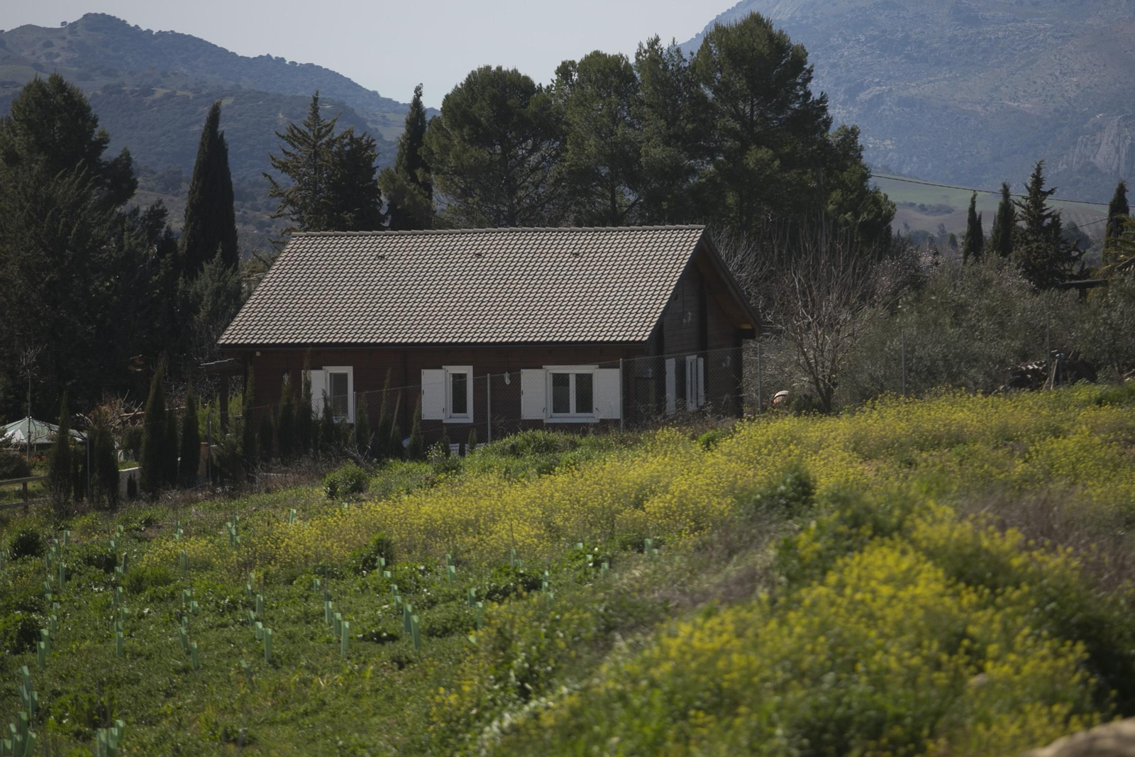 Imágenes de la primavera adelantada en Málaga