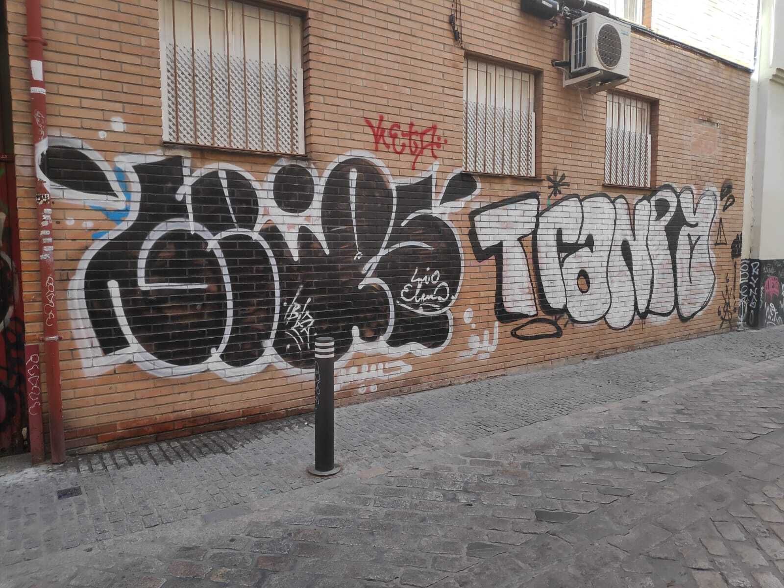 El PP denuncia la "degradación de un casco histórico, inundado de pintadas"