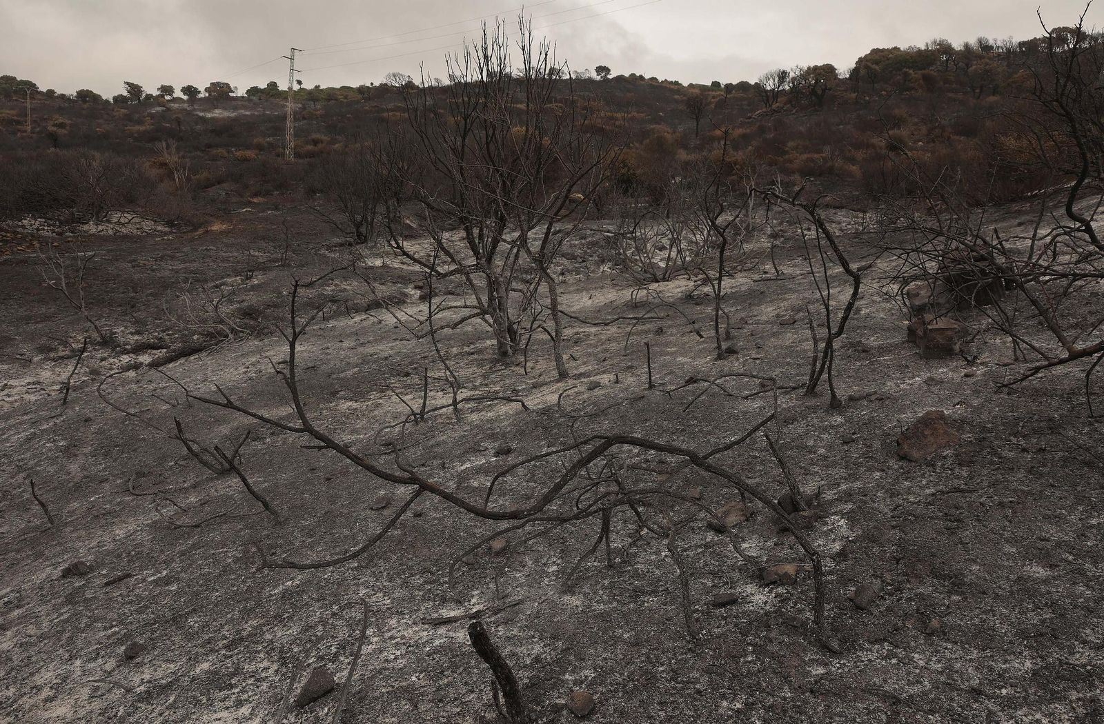 Fotos de los efectos del incendio en el Puerto del Laurel en Algeciras