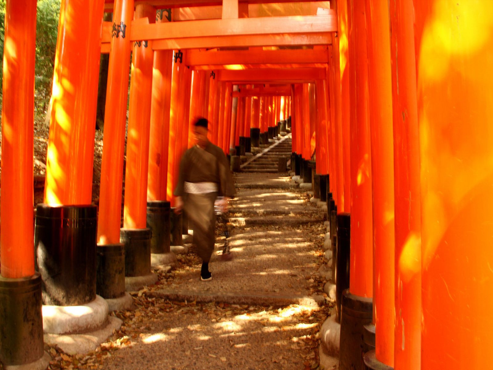 Una de las imágenes que se podrá ver en Damajuana.