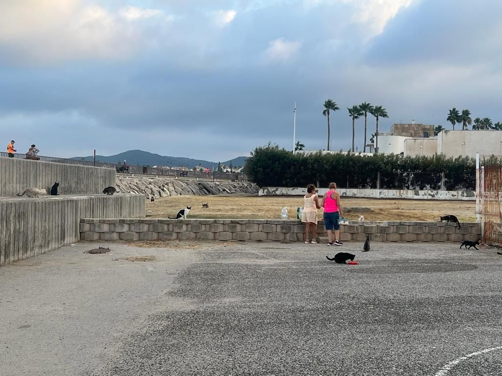 Un lugar de desconexión en Algeciras