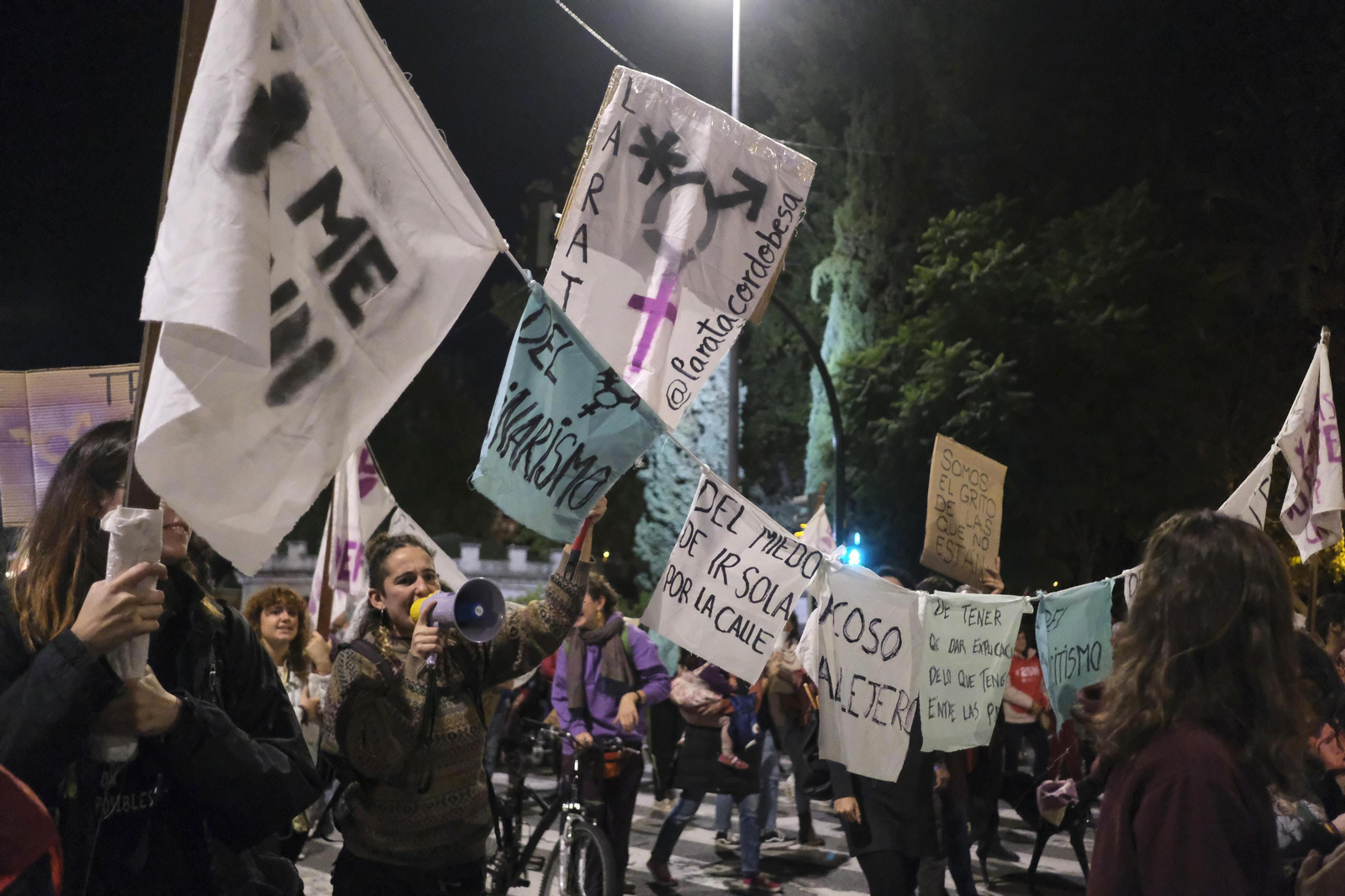 La manifestación en Córdoba contra la violencia de género, en fotografías