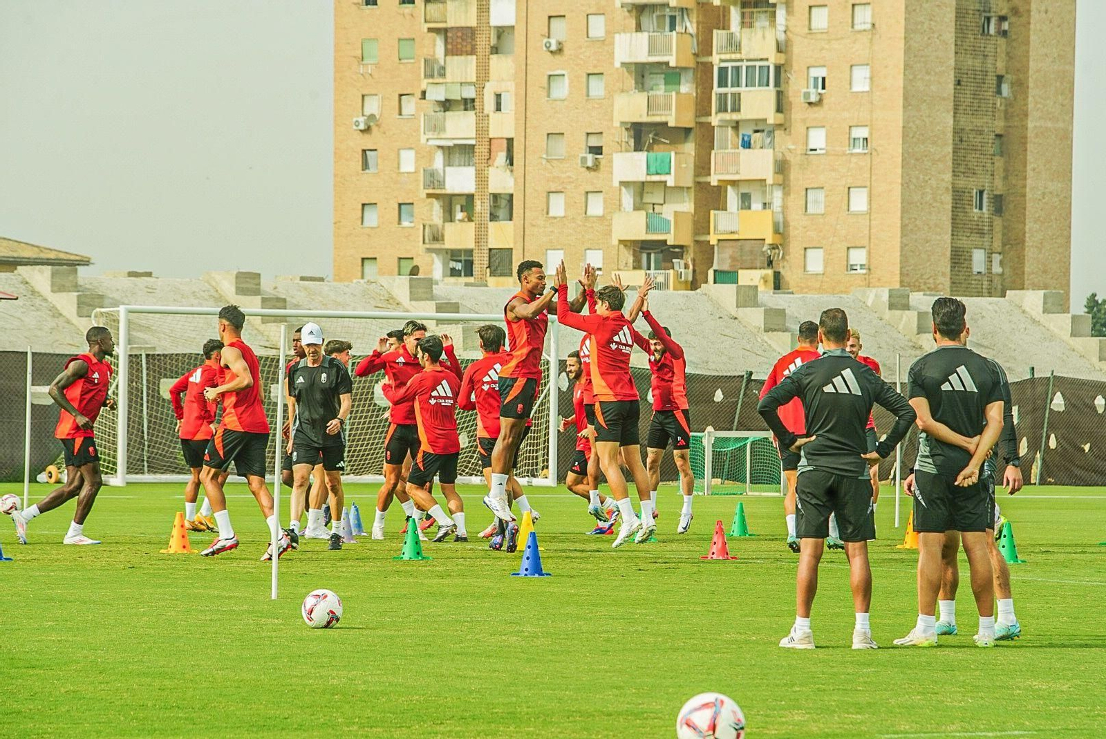 El primer entrenamiento de Fran Escribá en imágenes