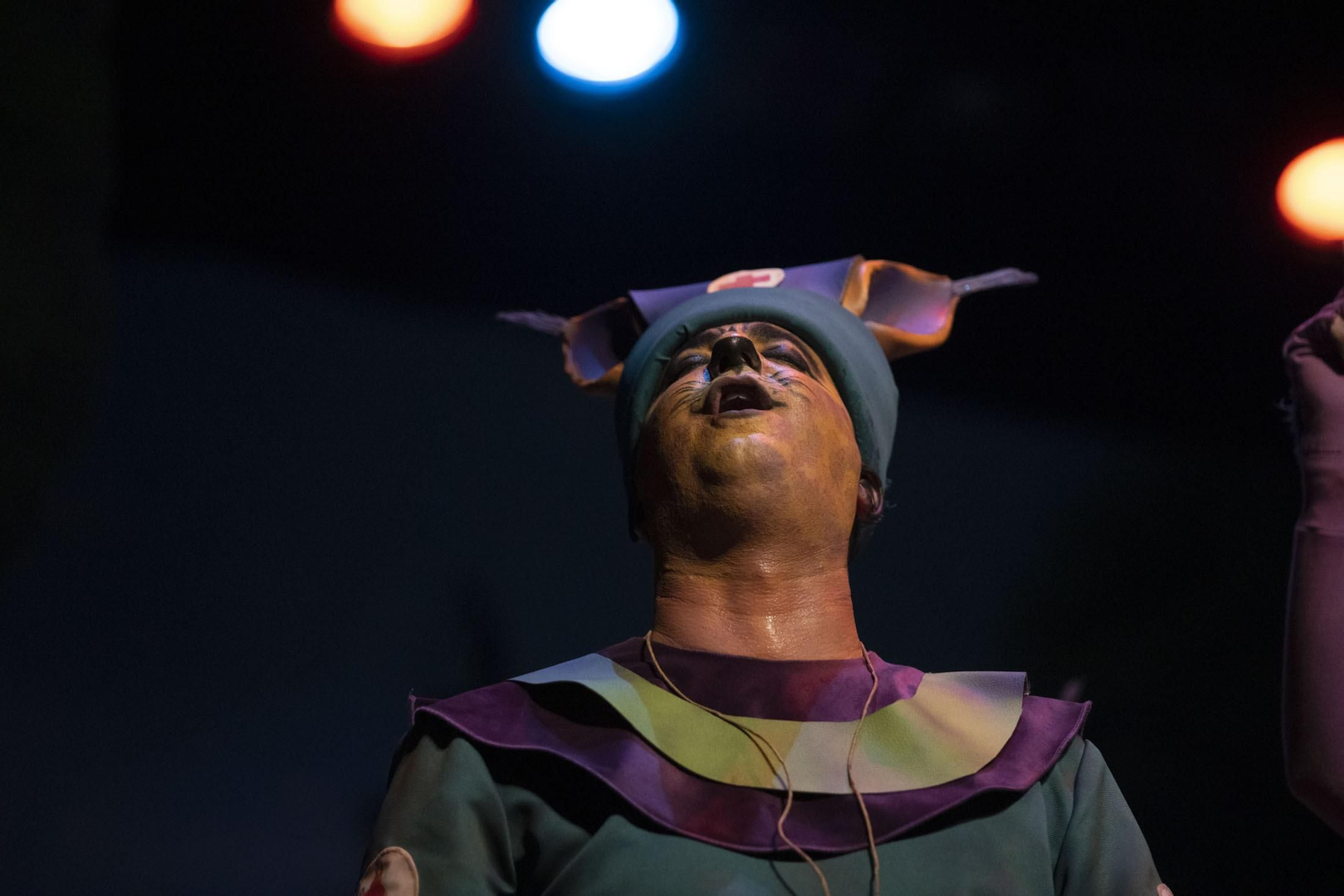 Imágenes de la actuación de la comparsa de Villalba del Alcor y Paterna  'Un mundo nuevo' en el Carnaval Colombino