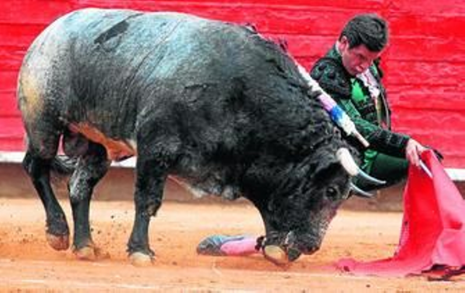 Guillermo Capetillo, en un doblón, que por fin no se cortó la coleta en el festejo del domingo.