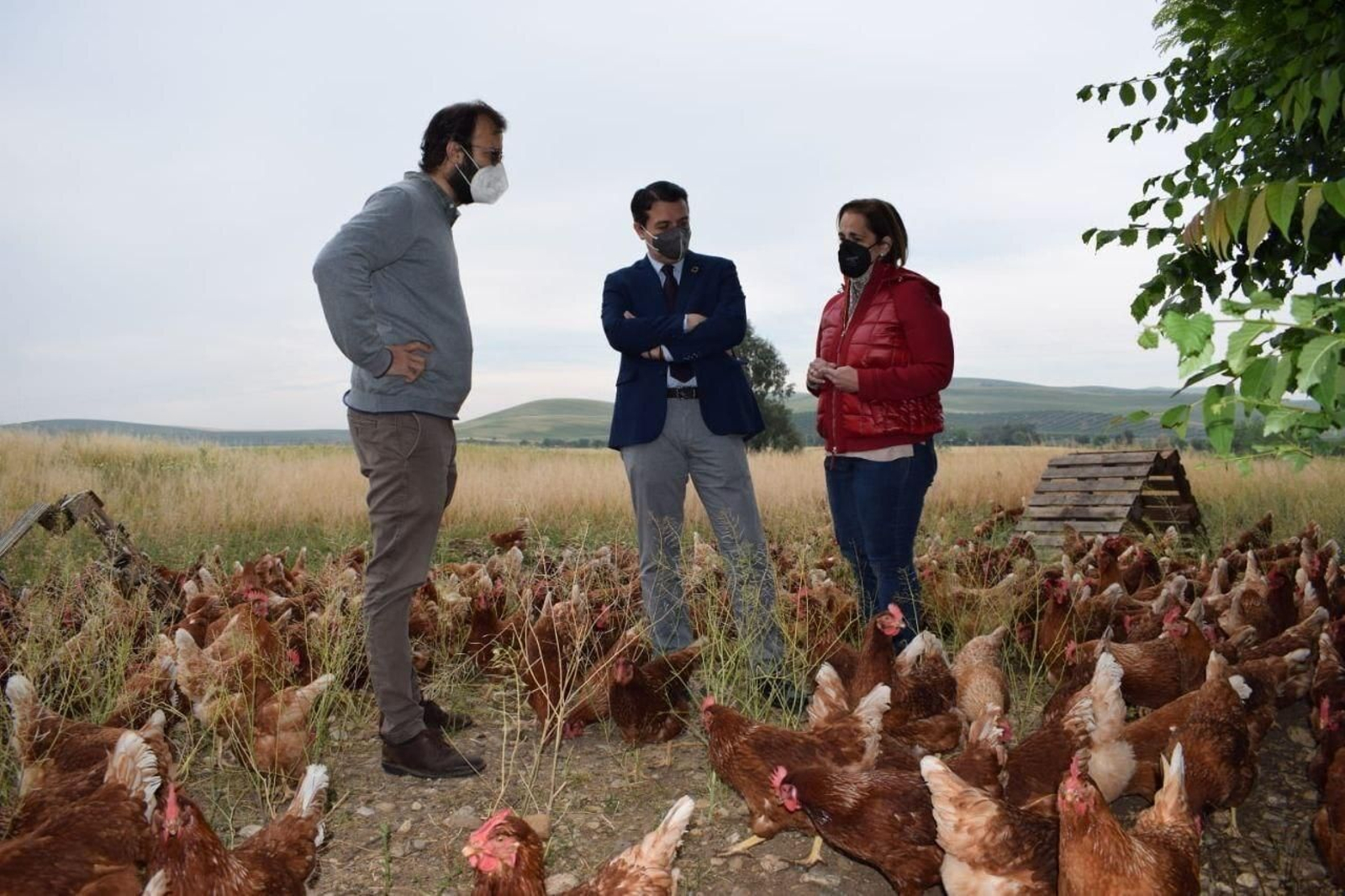 Manuel Fragero, José María Bellido y Blanca Torrent en la granja.
