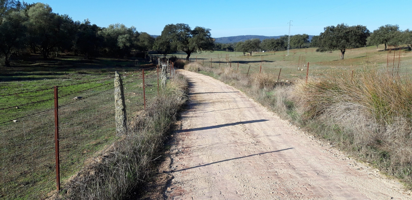 Las fotos de las ruta del Arroyo de las Cañas