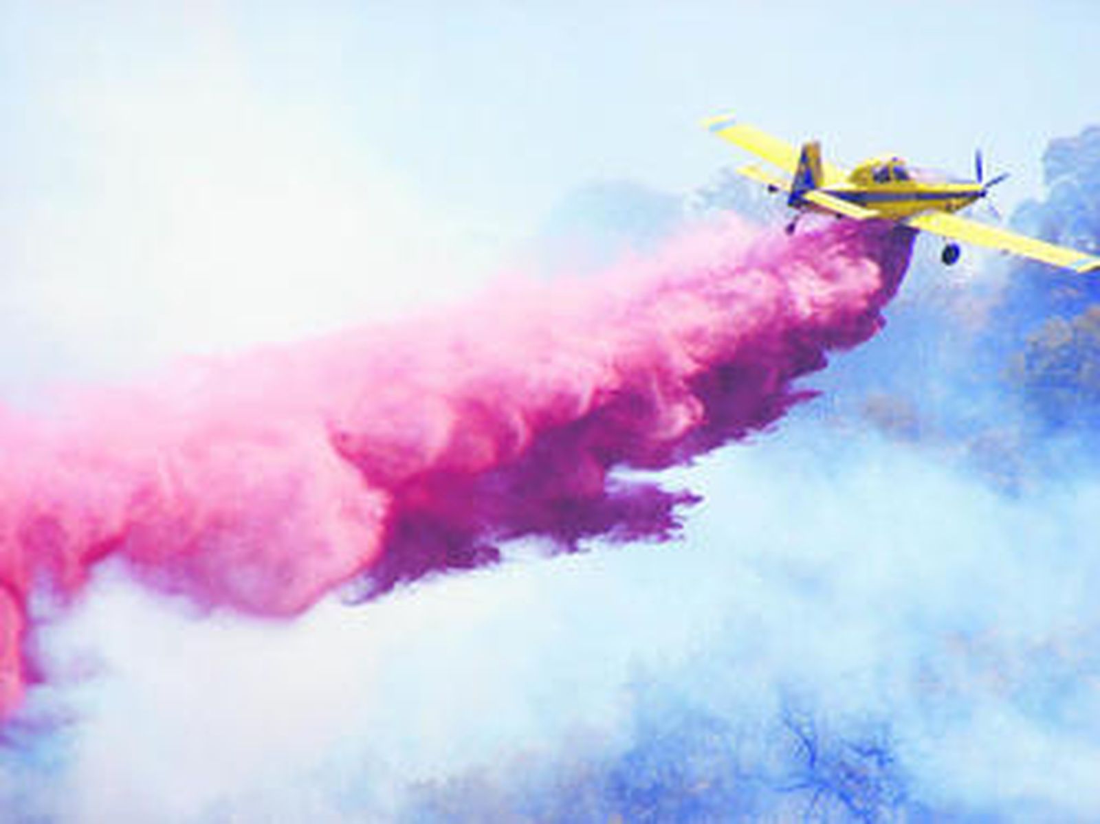 Una de las avionetas que intervinieron en el incendio el miércoles.