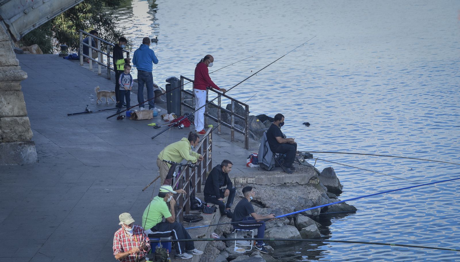 La resistencia en los ciudadanos de Andalucía: nuevas medidas