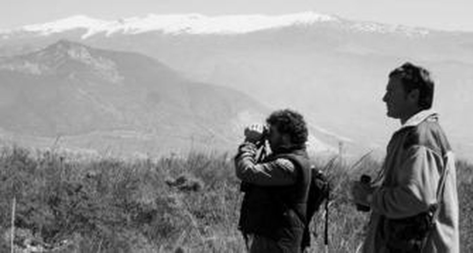 1. En la imagen superior, el coordinador del proyecto, José Manuel Rivas Fernández, y uno de sus colaboradores, Gregorio Moreno, hacen un seguimiento de las aves que pueblan los parques Nacional y Natural de Sierra Nevada. 2. Imagen del acentor alpino, una de las aves que se aclimatan a zonas de alta montaña como Sierra Nevada y cuyo número ha descendido en los últimos años. 3. El piquituerto es otra de las especies que habitan en Sierra Nevada y se alimenta de los brotes tiernos de pino./fotos cedidas por José Manuel Rivas fernández