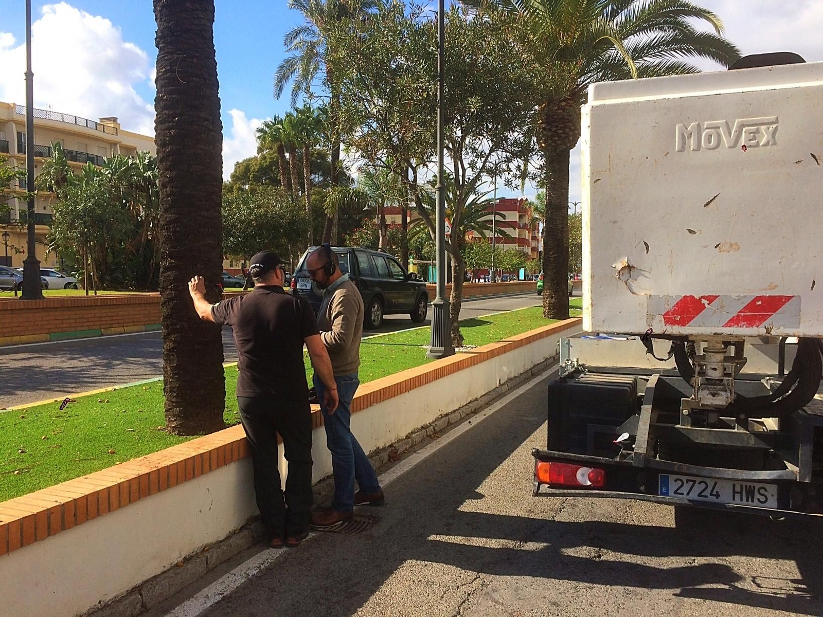 Los técnicos analizan las palmeras