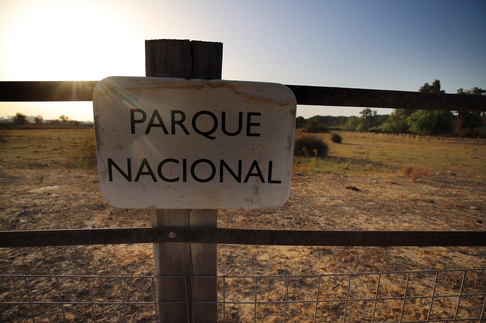 La marisma junto a la ermita de El Rocío seca, en imágenes