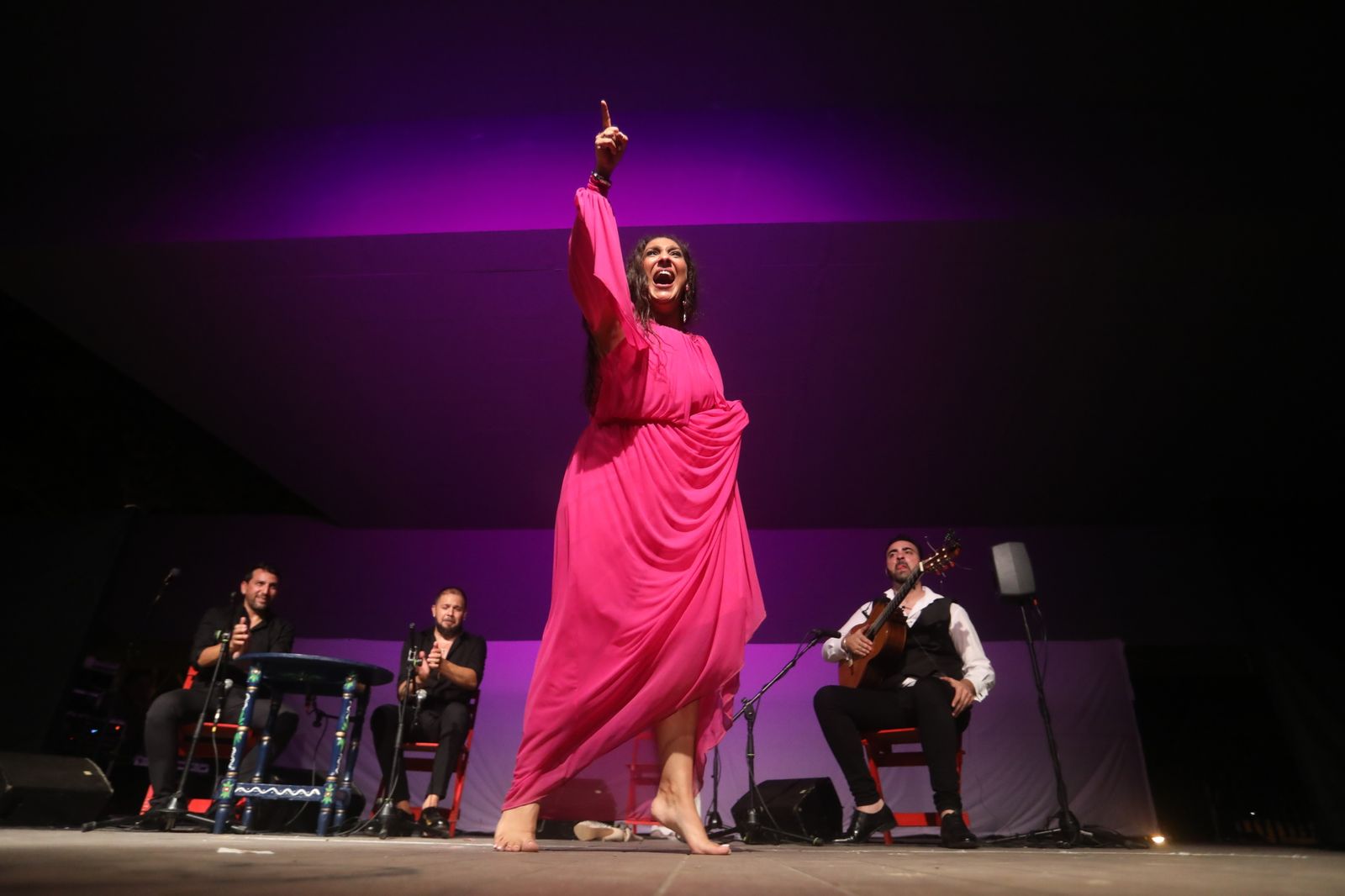 La noche flamenca en el Parque de San Fernando, en imágenes