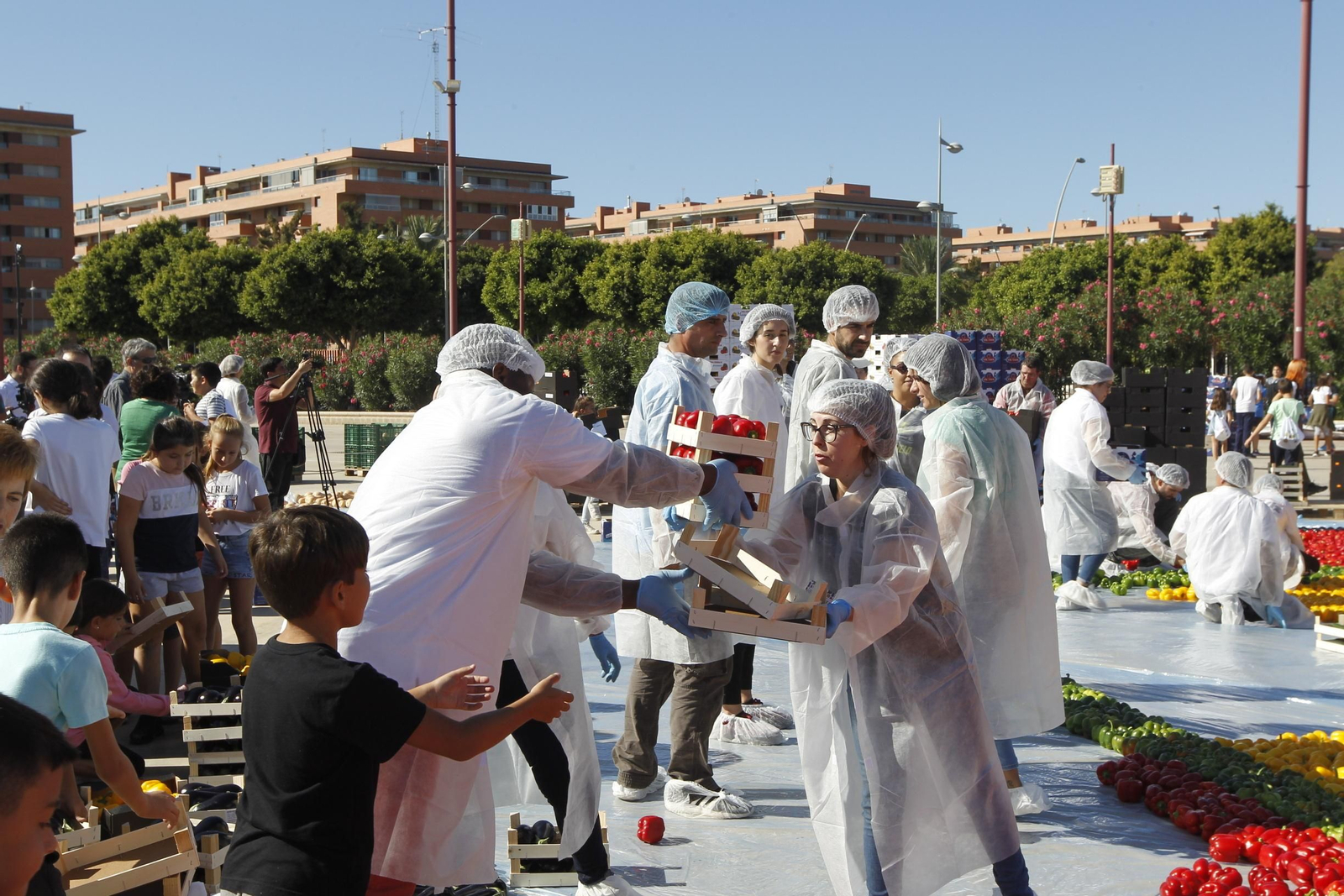 Fotogalería Récord Guinness Corazón Hortalizas Almería